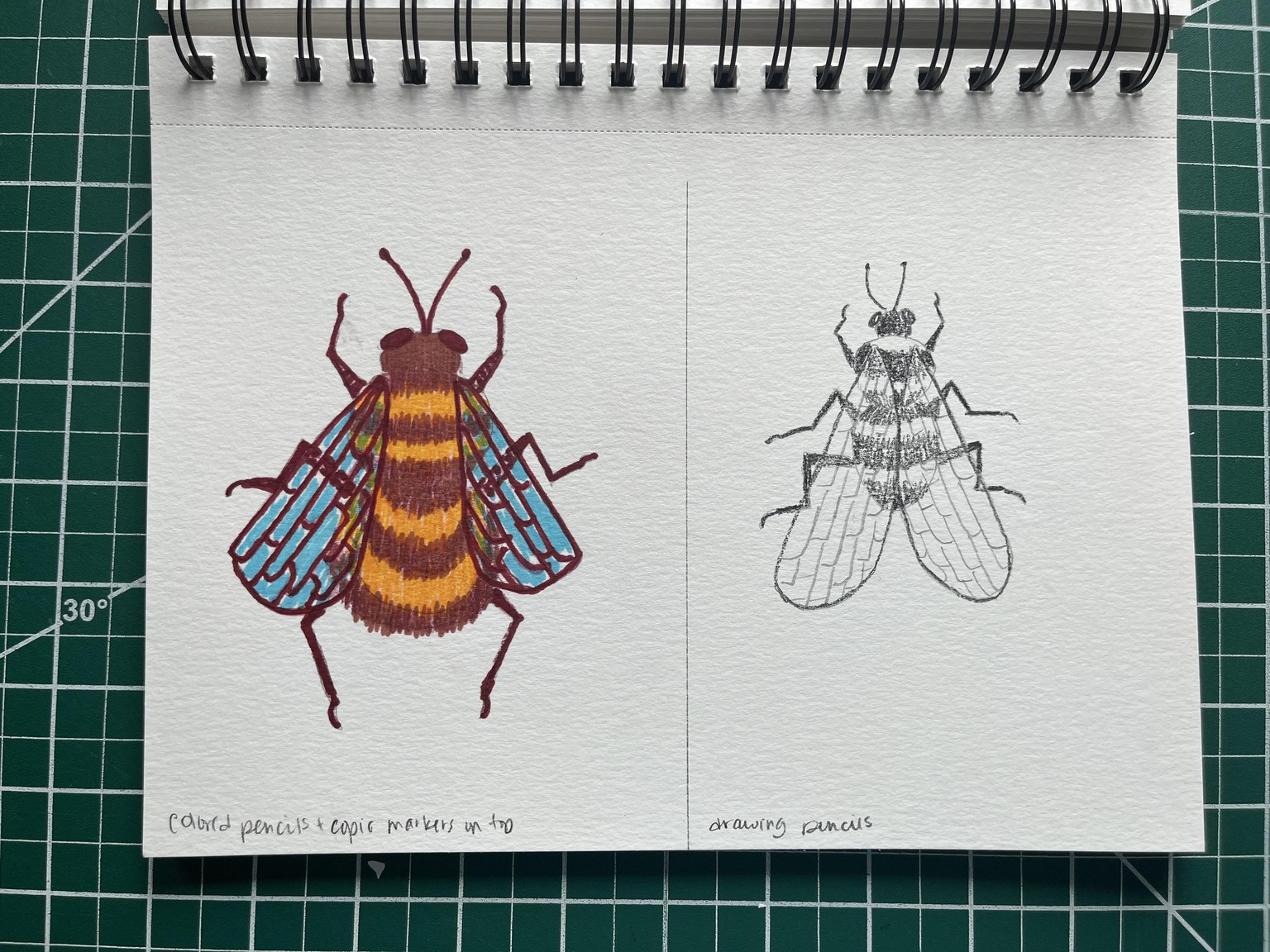 Illustration Style in 6 Buggy Experiments - image 15 - student project