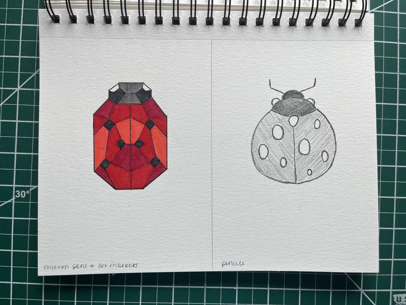 Illustration Style in 6 Buggy Experiments - image 3 - student project