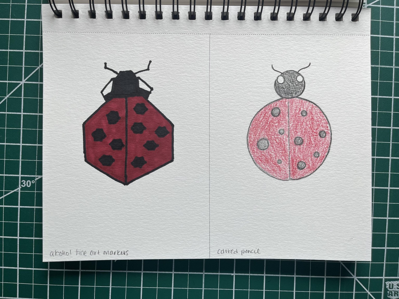 Illustration Style in 6 Buggy Experiments - image 2 - student project
