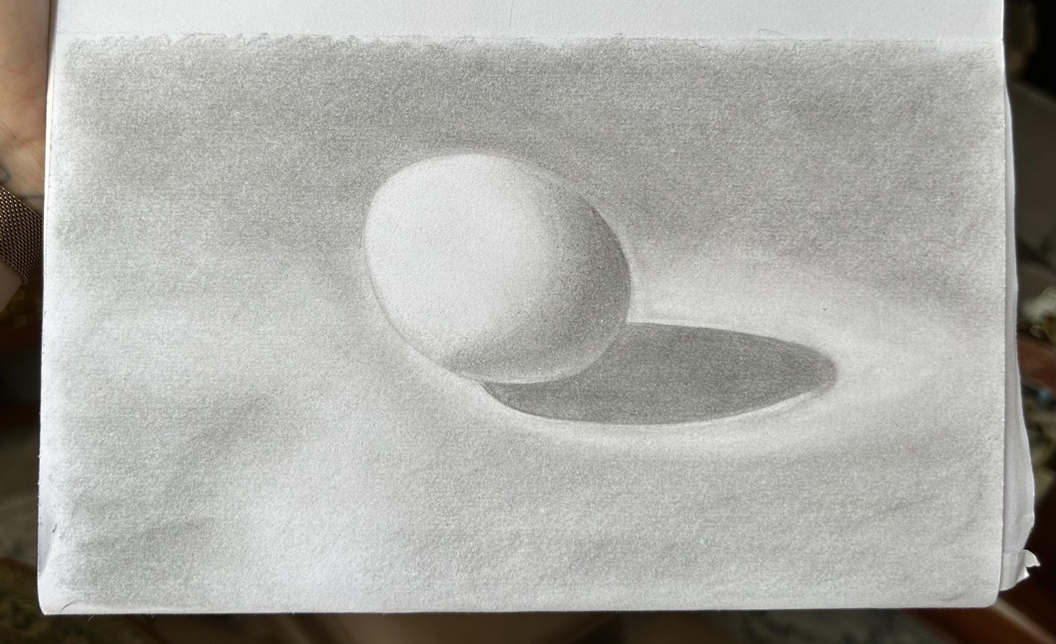 A Series of Still Life Sketches - image 1 - student project