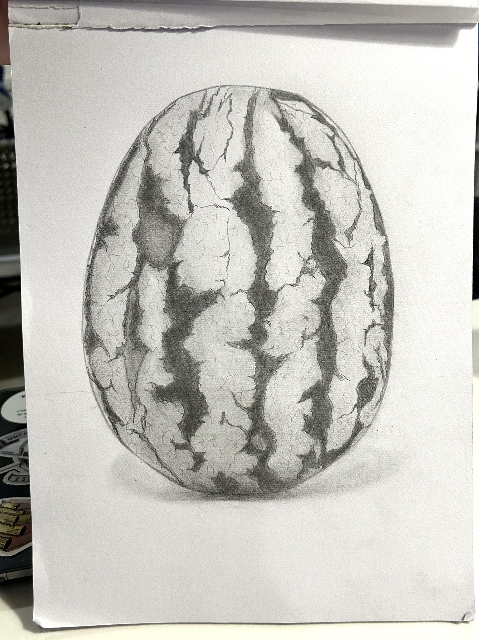 A Series of Still Life Sketches - image 3 - student project