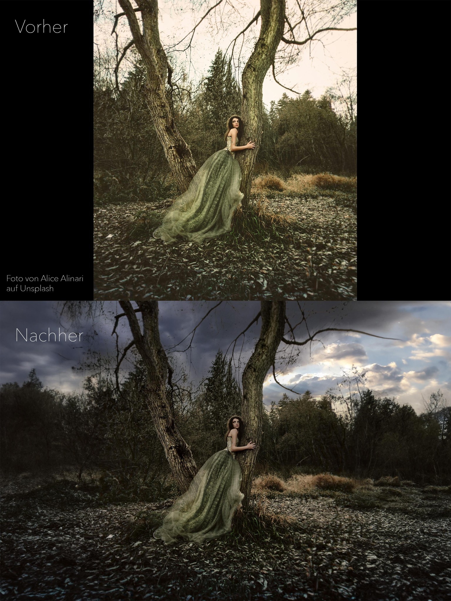 Bild optimieren - image 1 - student project