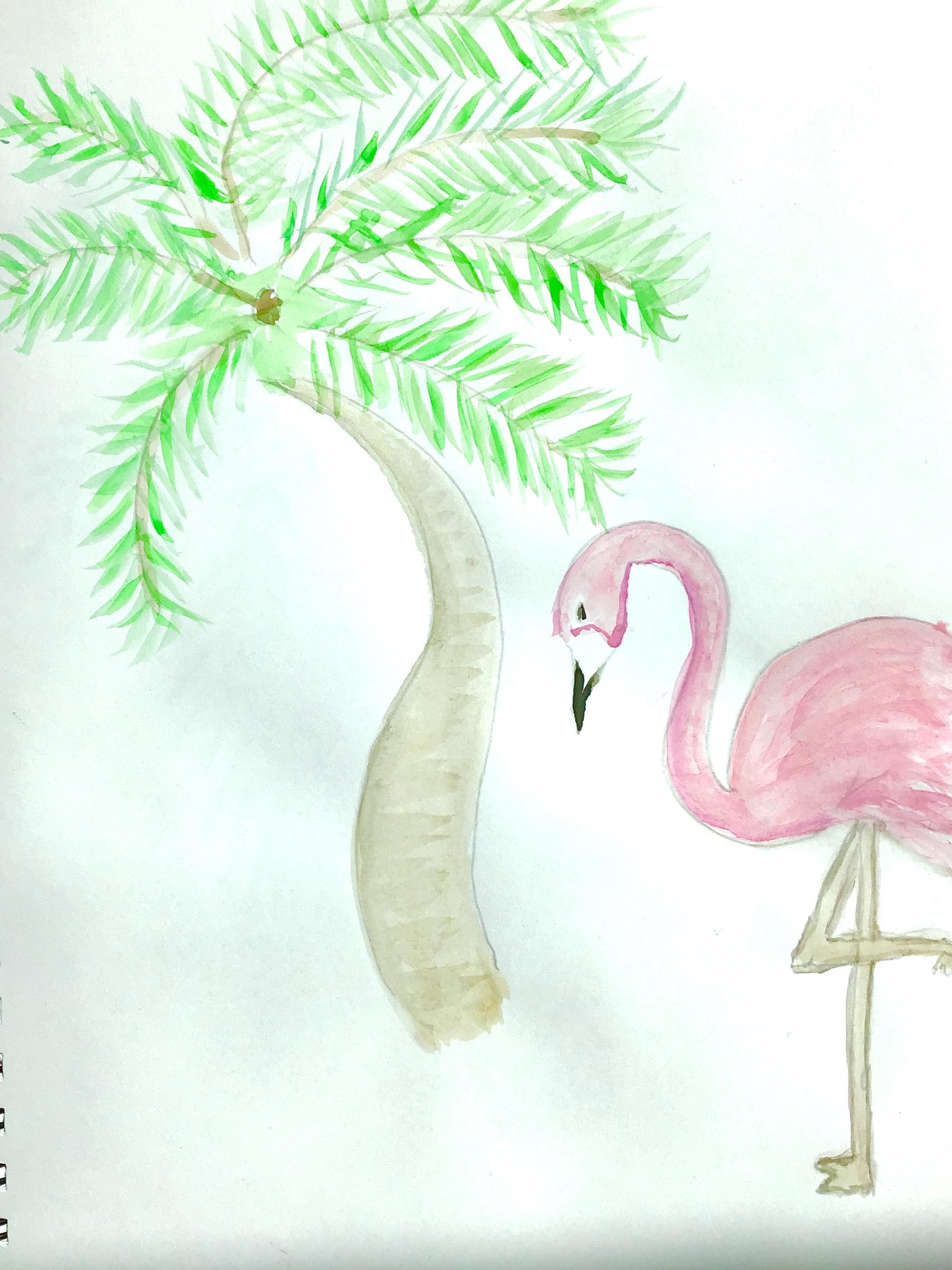 Dreaming of a Tropical Christmas - image 1 - student project