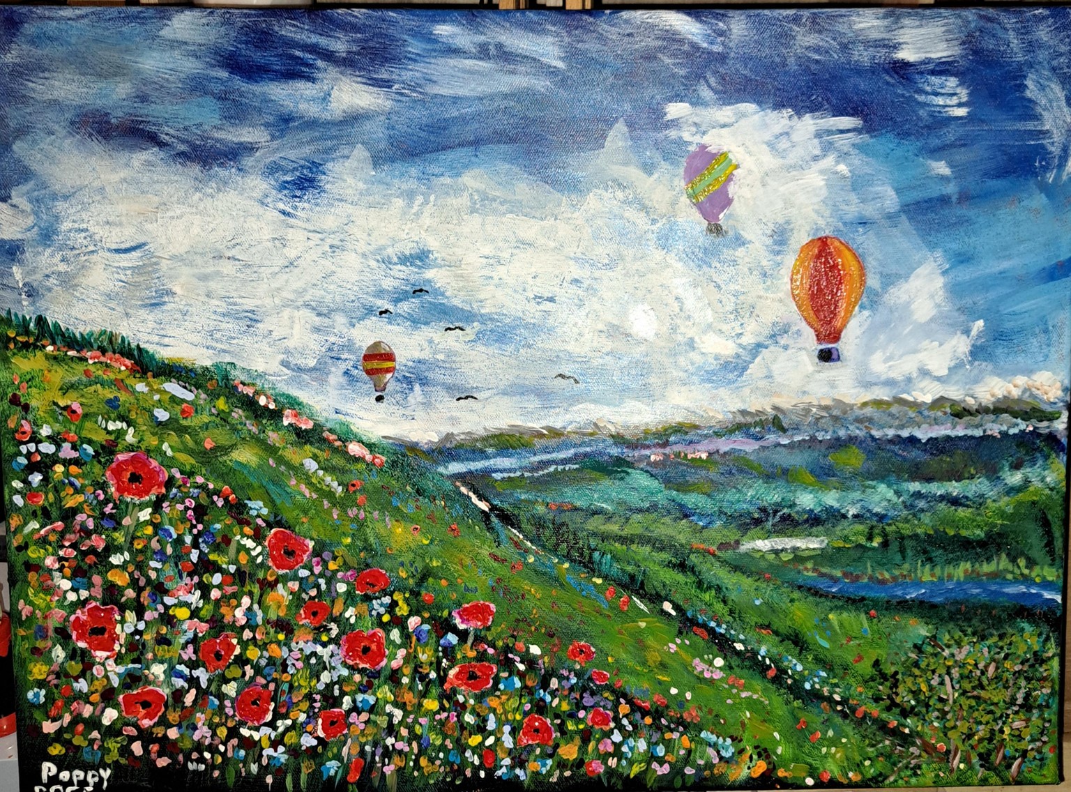 Poppies and wild flowers - image 1 - student project