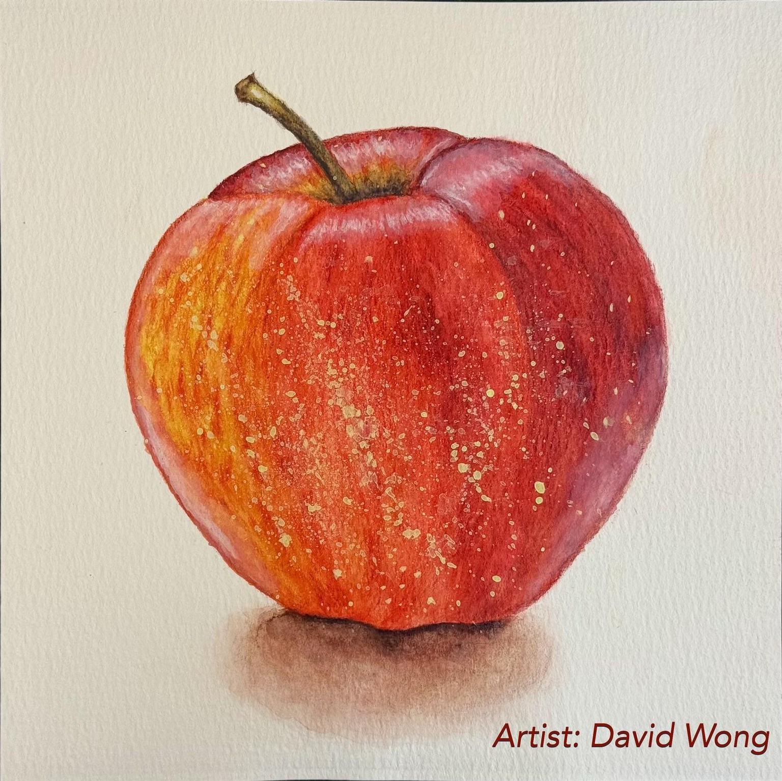 Red apple in watercolor pencil - image 1 - student project