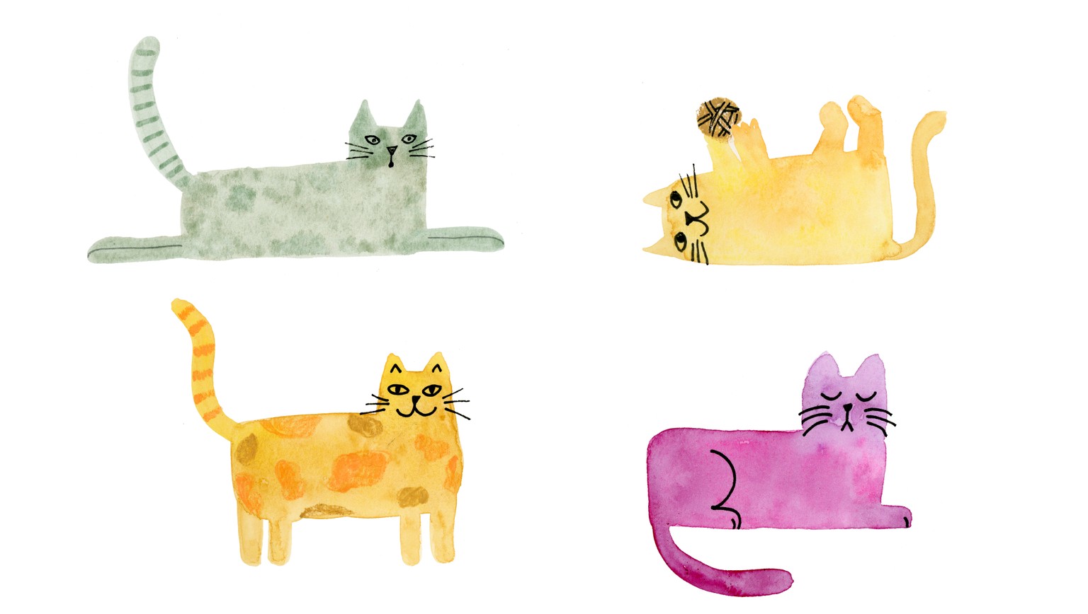 Watercolor Cats - image 2 - student project