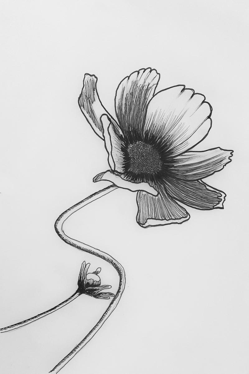 Ink Shader - image 1 - student project