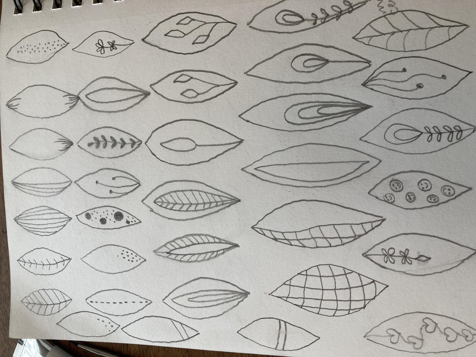 Round leaves - image 3 - student project