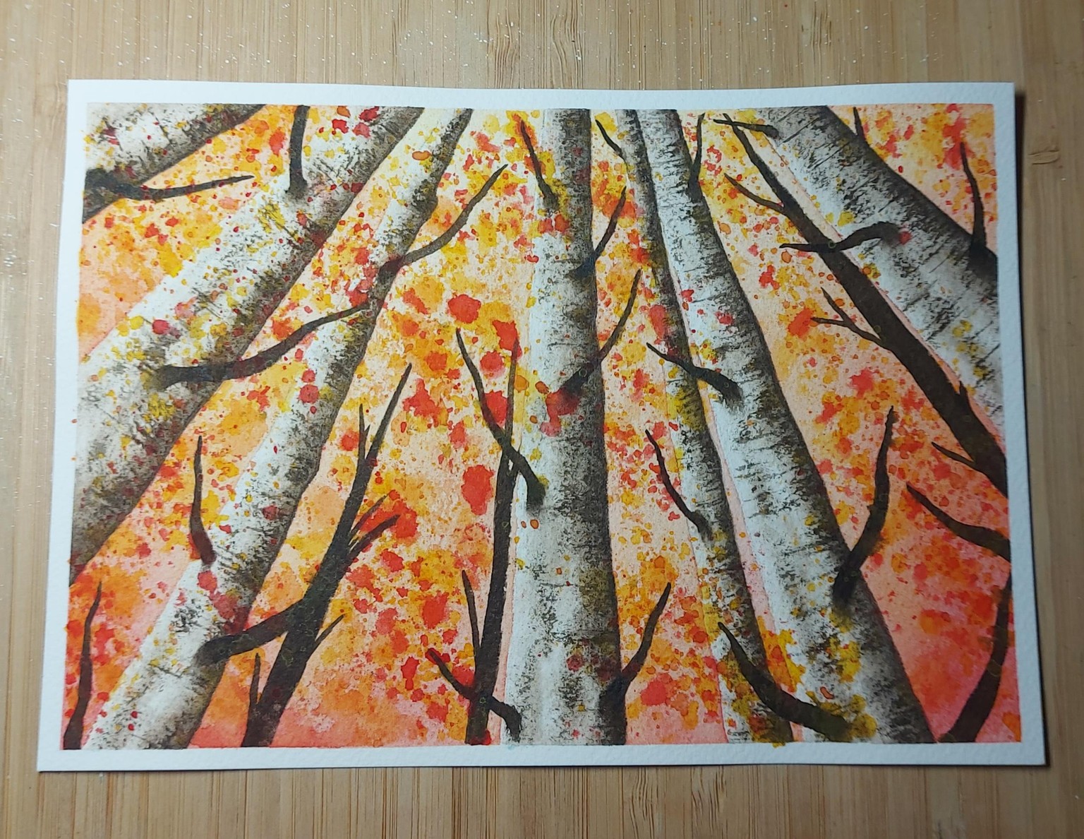 A life of a forest - image 1 - student project