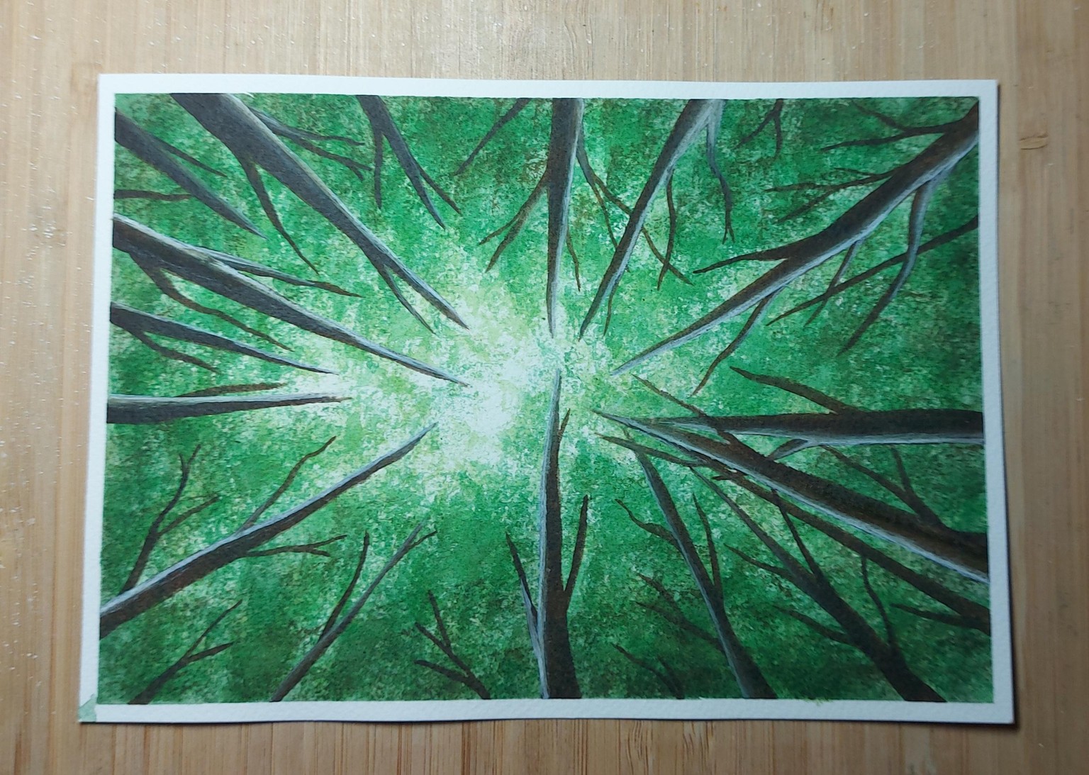 A life of a forest - image 2 - student project