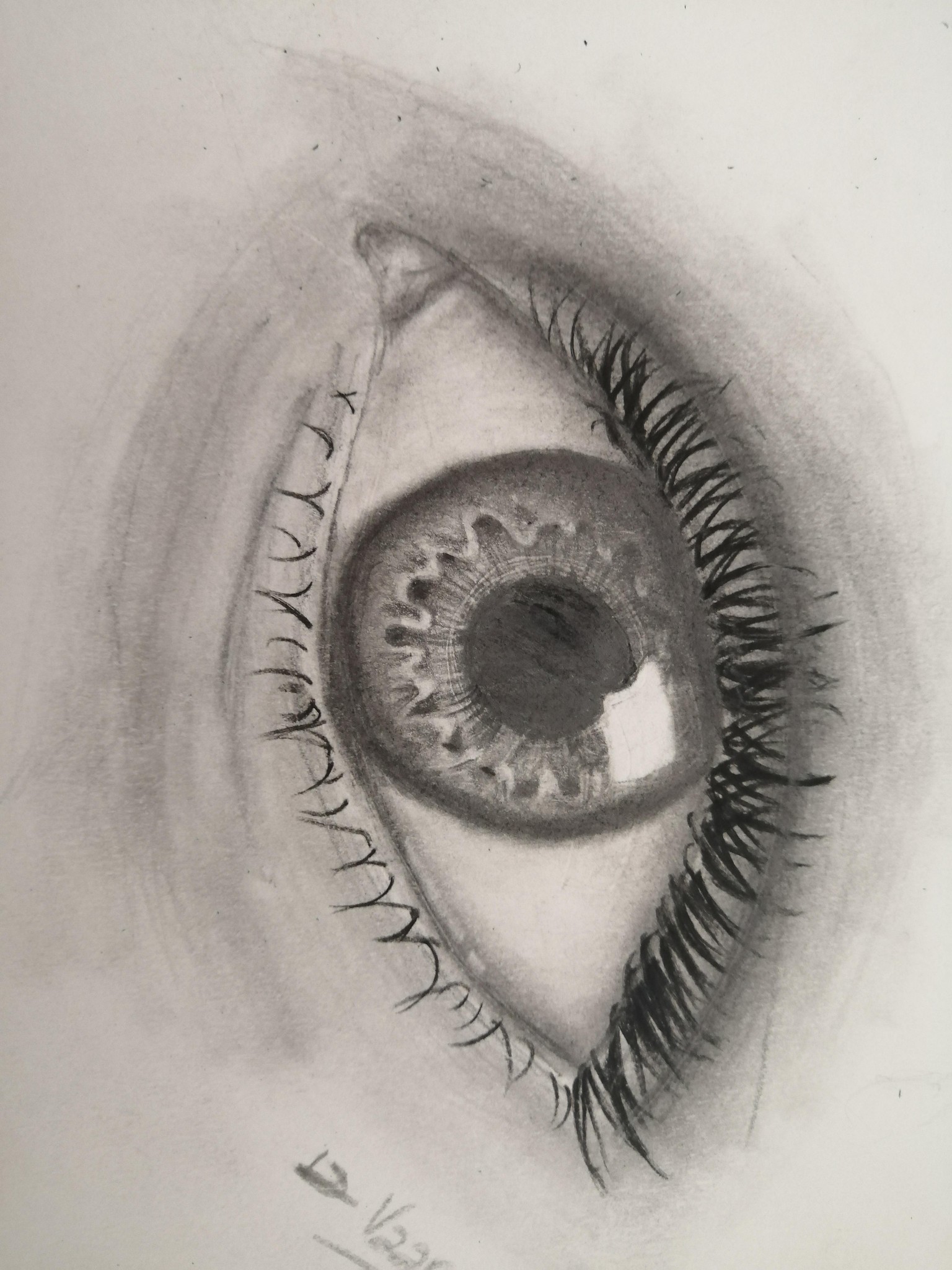 Eye drawings. - image 1 - student project