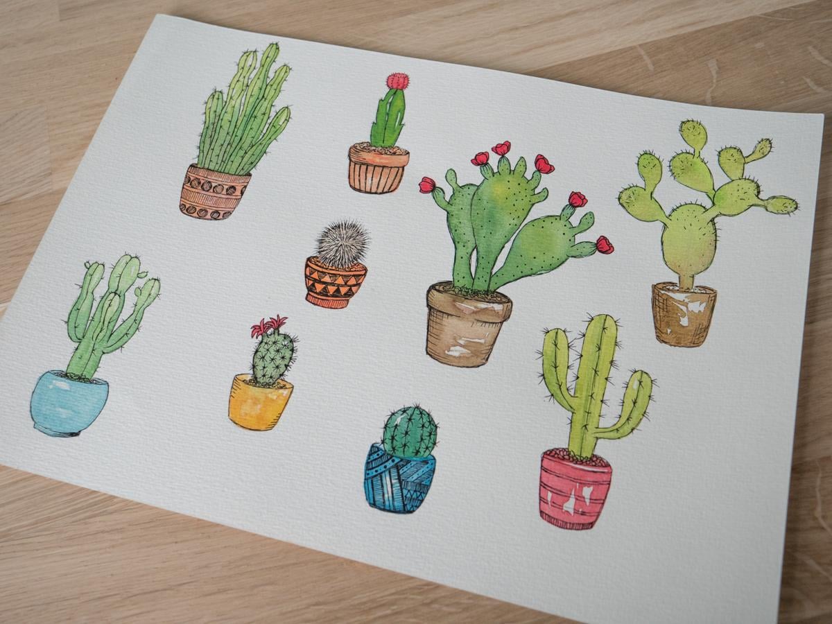 Cactus pen with watercolours - image 1 - student project