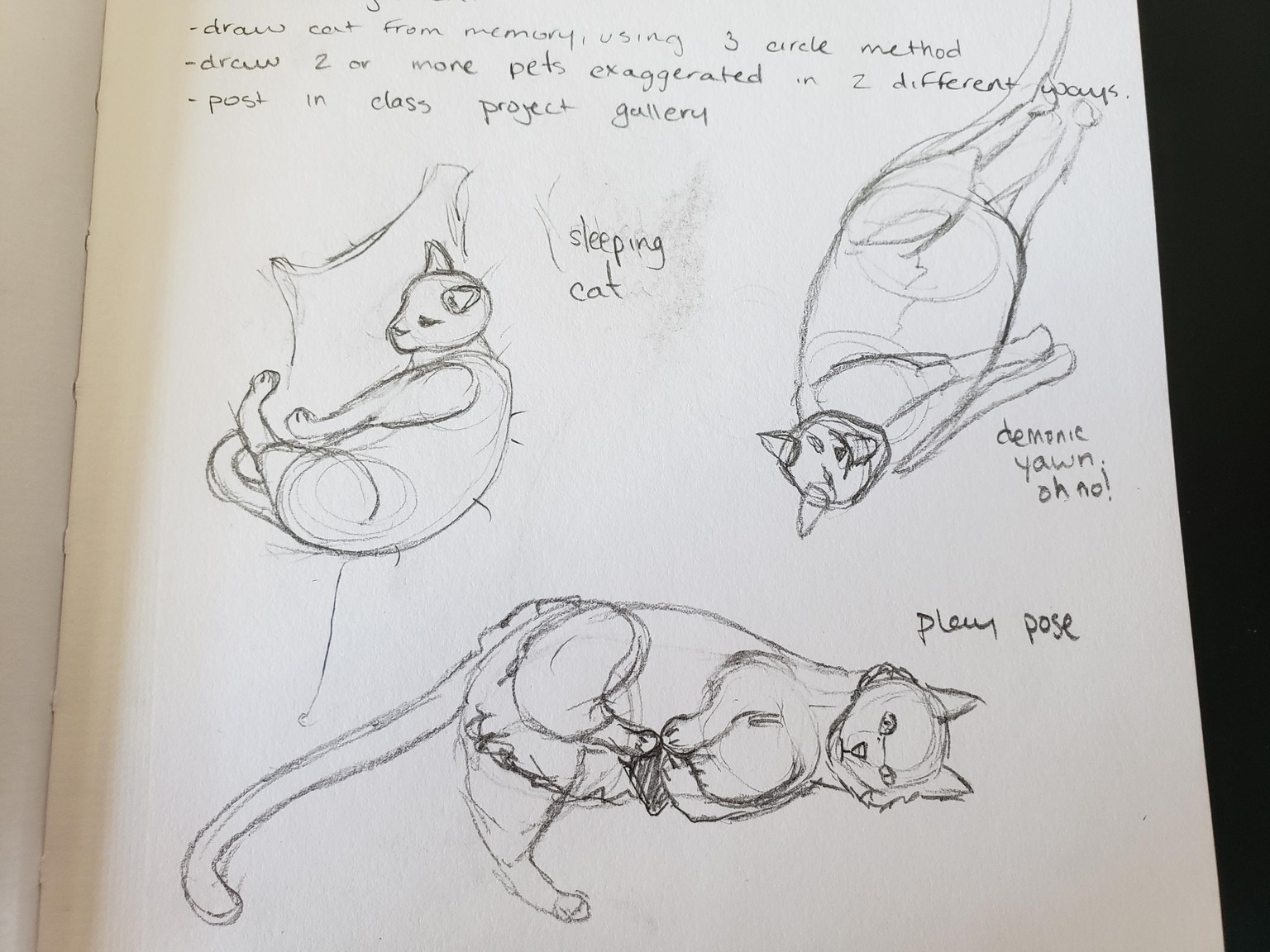 Kitty Watercolour Project WIP - image 1 - student project