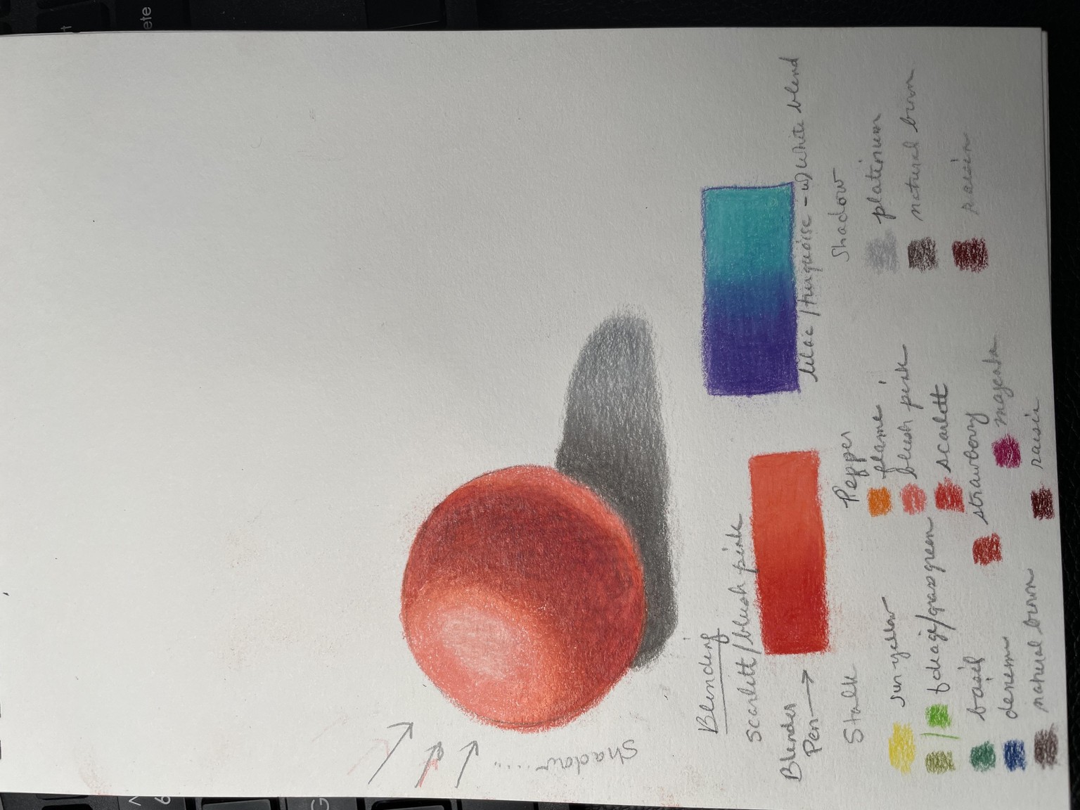 Ready for the still life drawing! - image 2 - student project