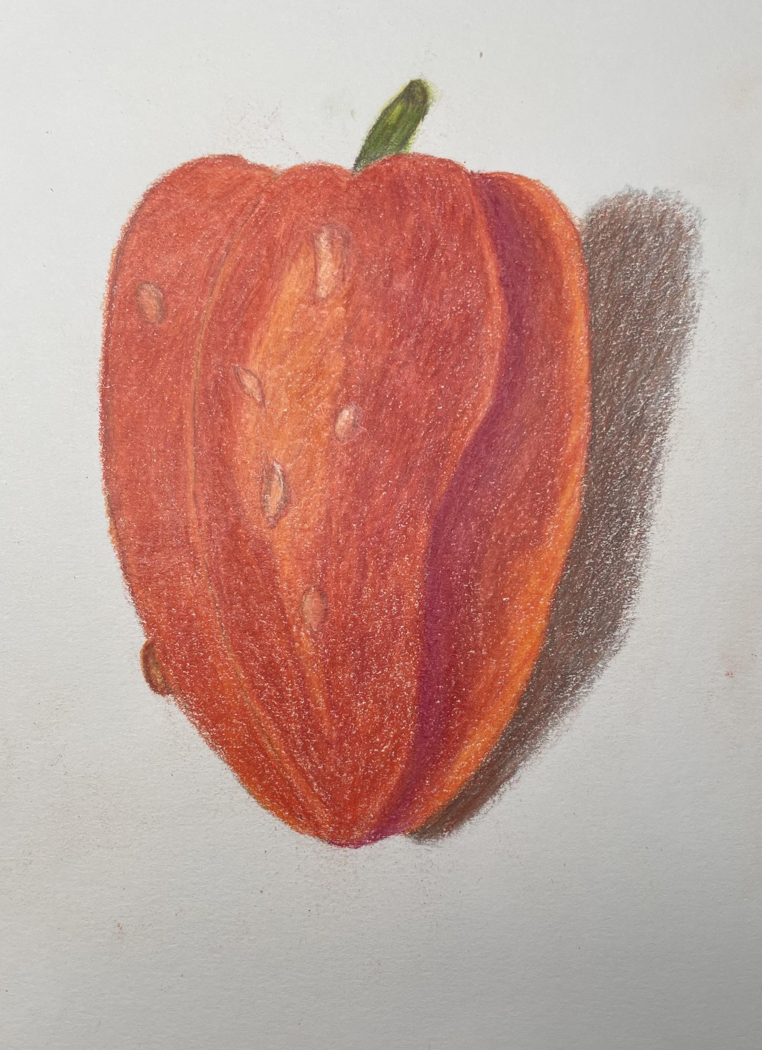 Ready for the still life drawing! - image 1 - student project