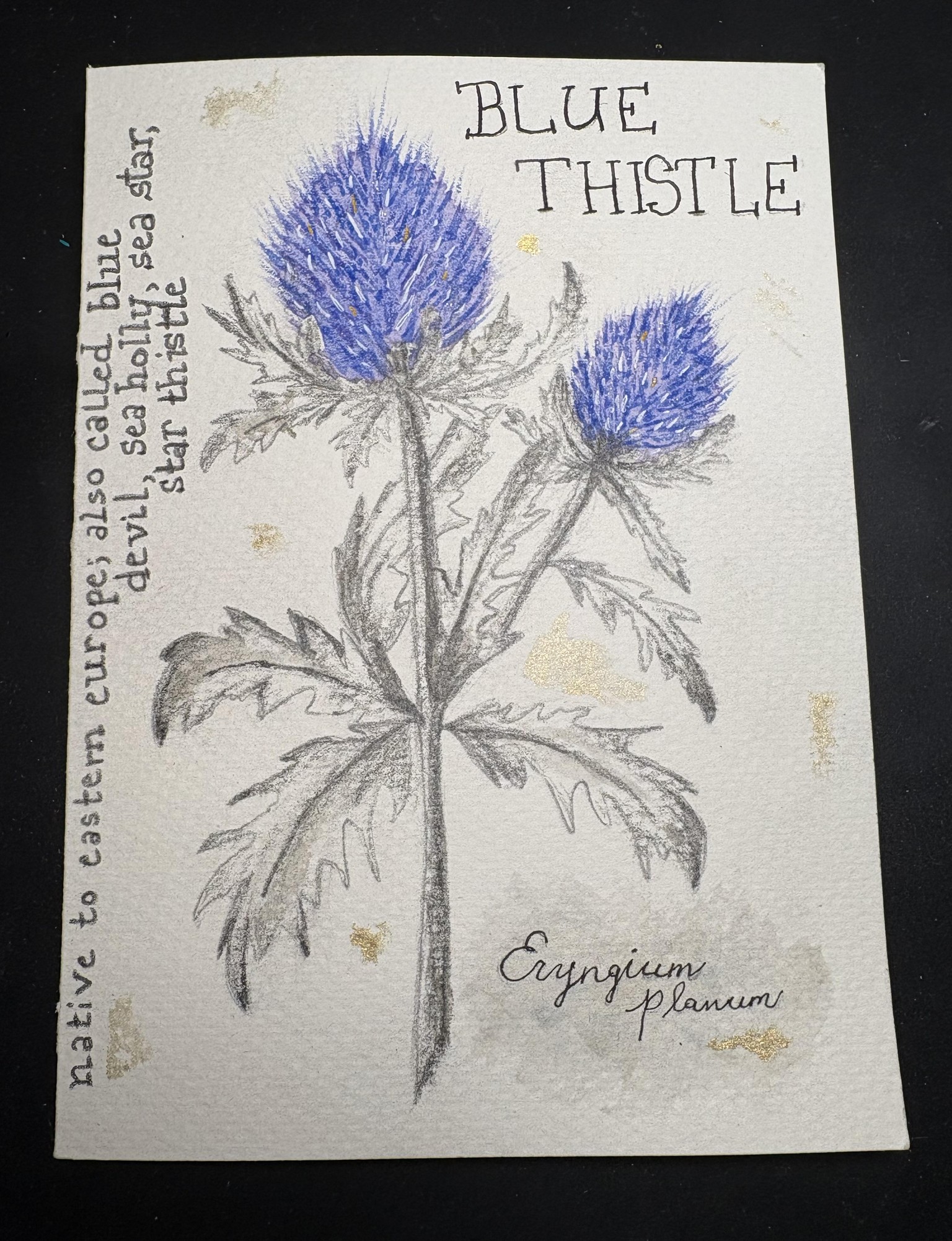 Floral Stem - image 4 - student project