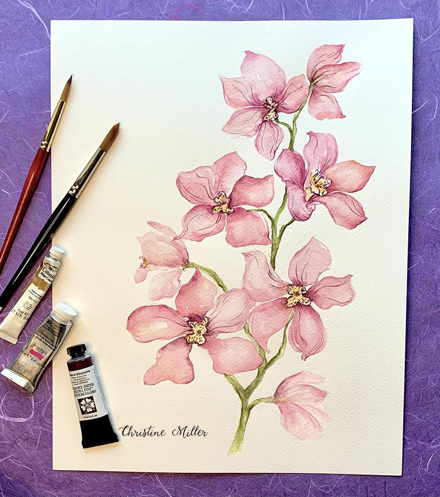 orchids - image 1 - student project