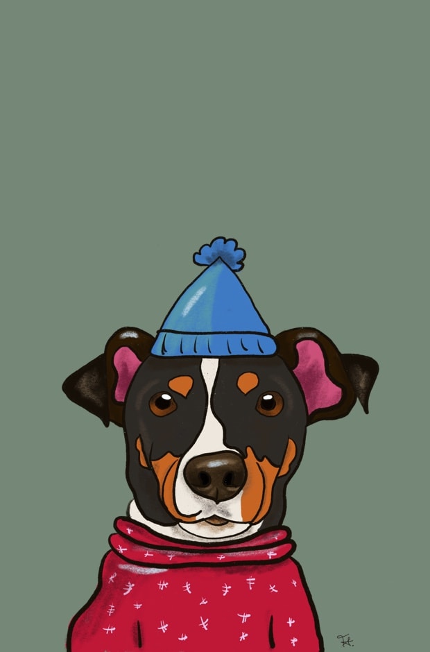 Dog - image 1 - student project