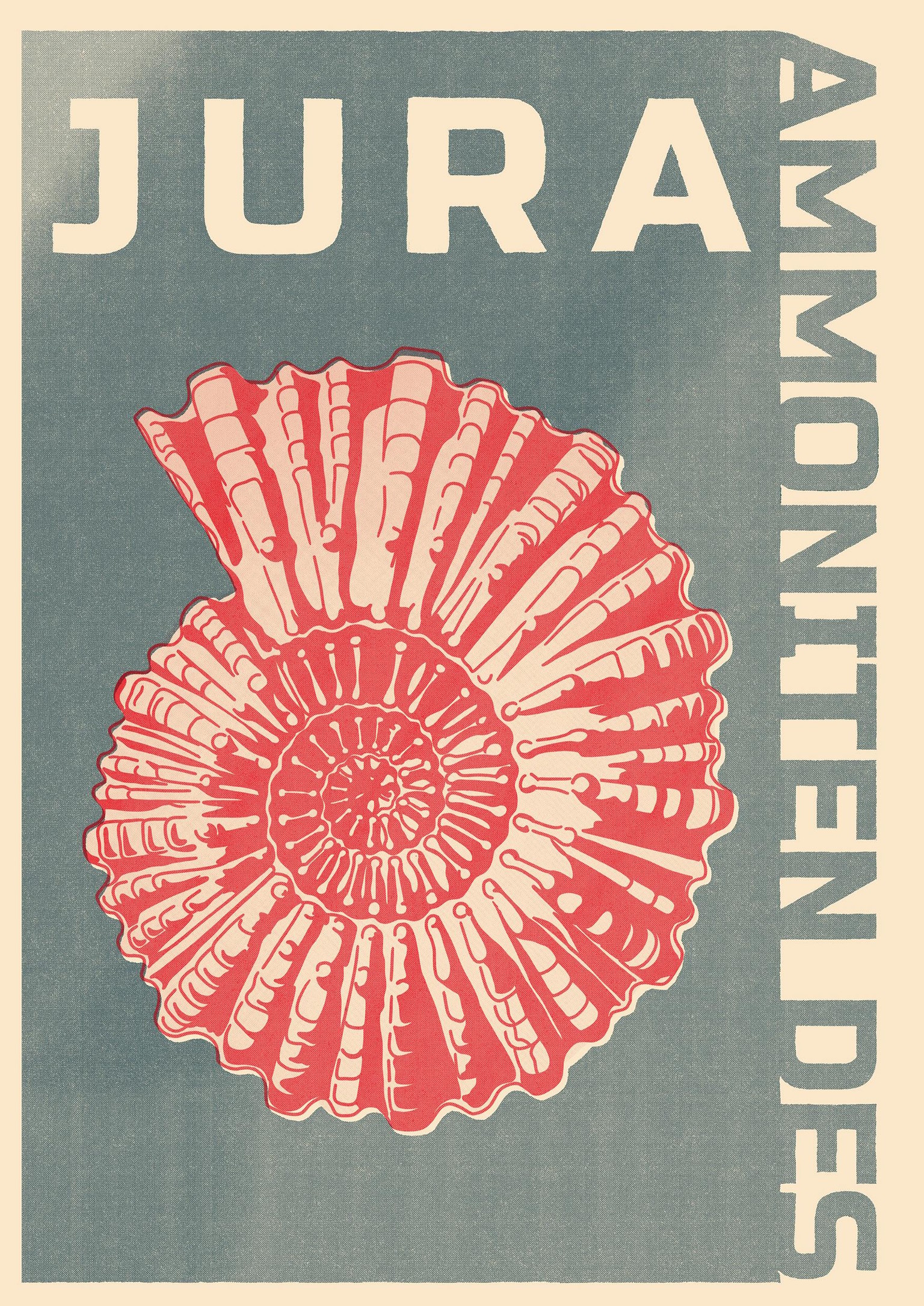 AMMONITEN des Jura - Collection - image 1 - student project