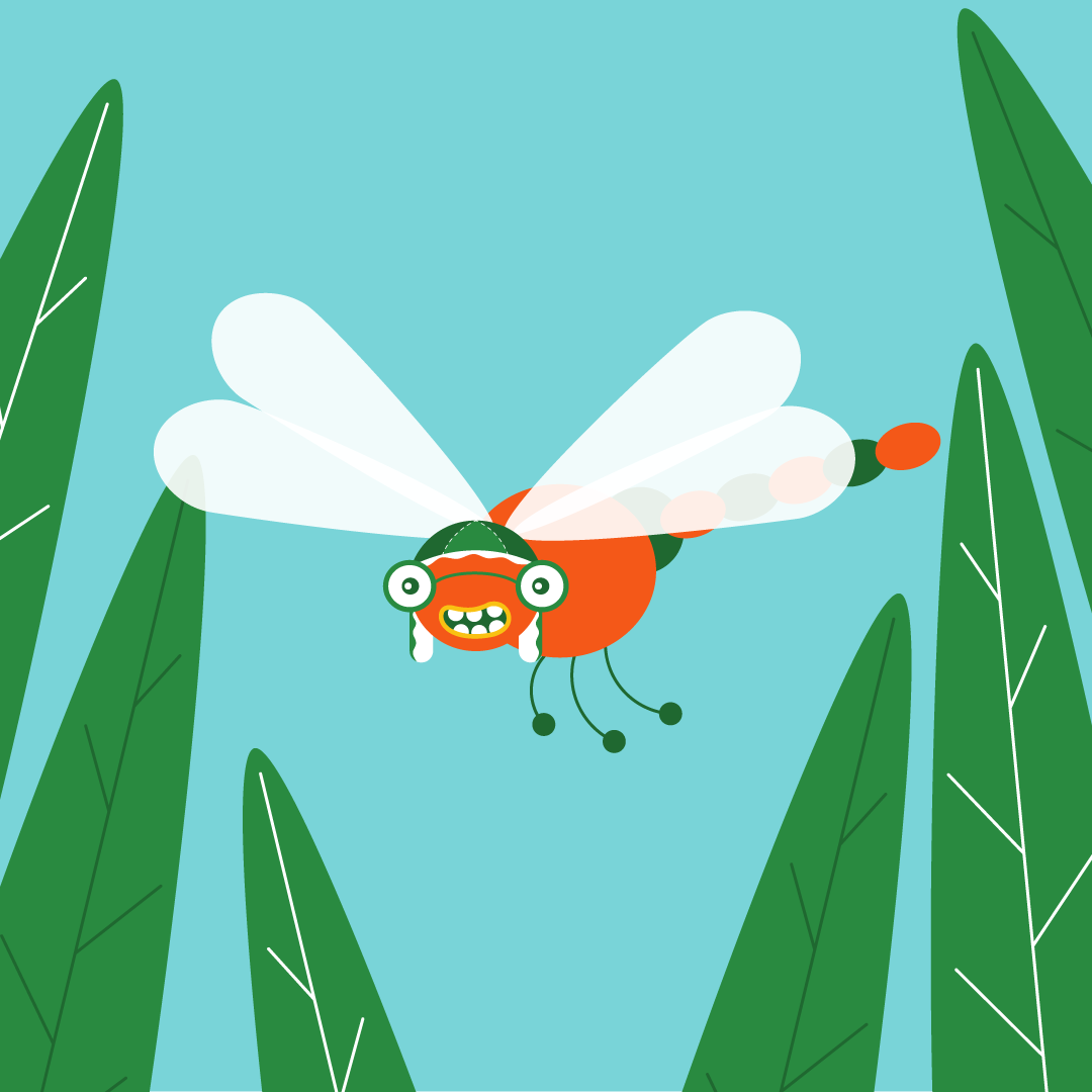Bugs Galore! - image 3 - student project