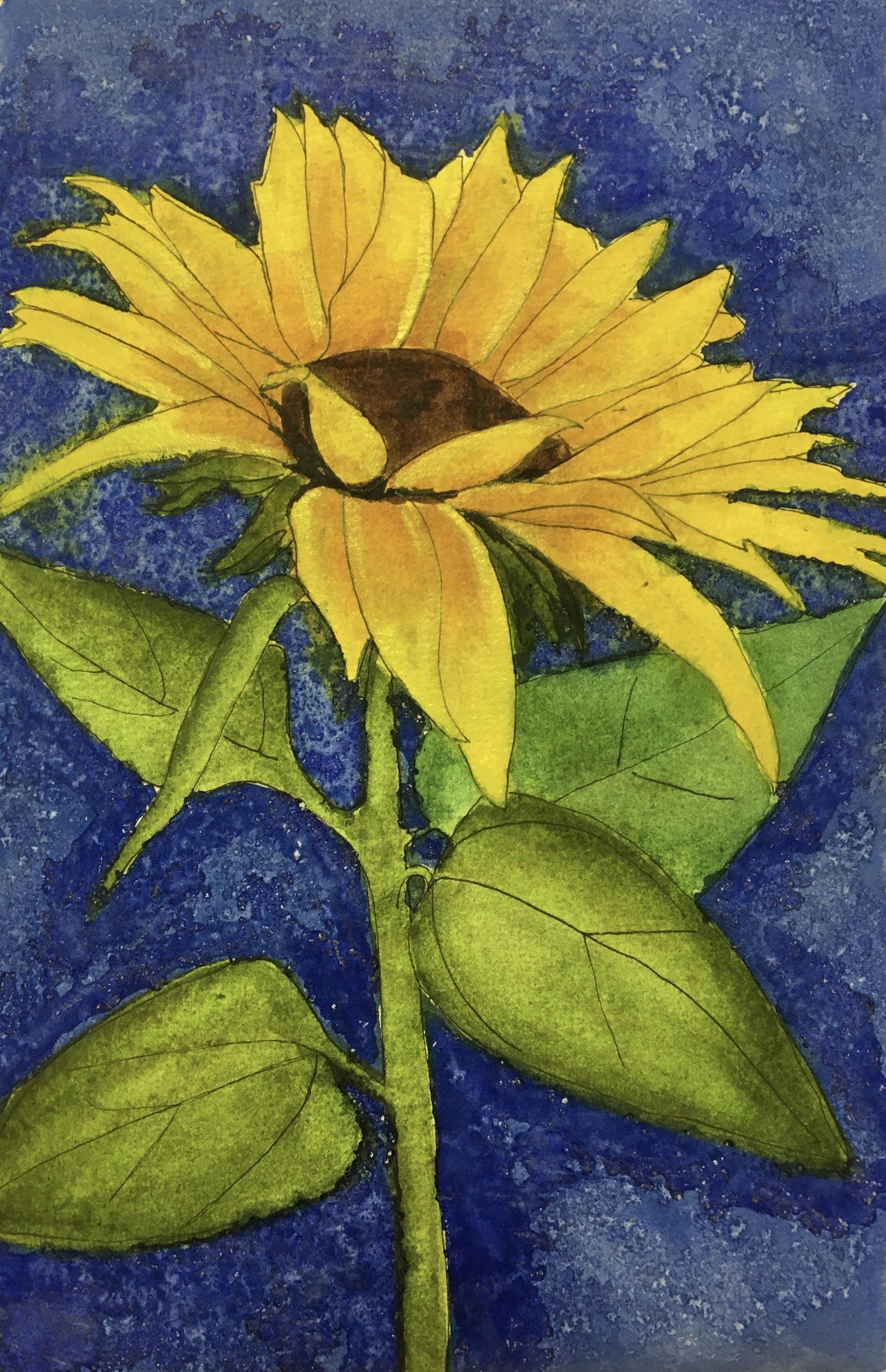 Sunflower - image 1 - student project