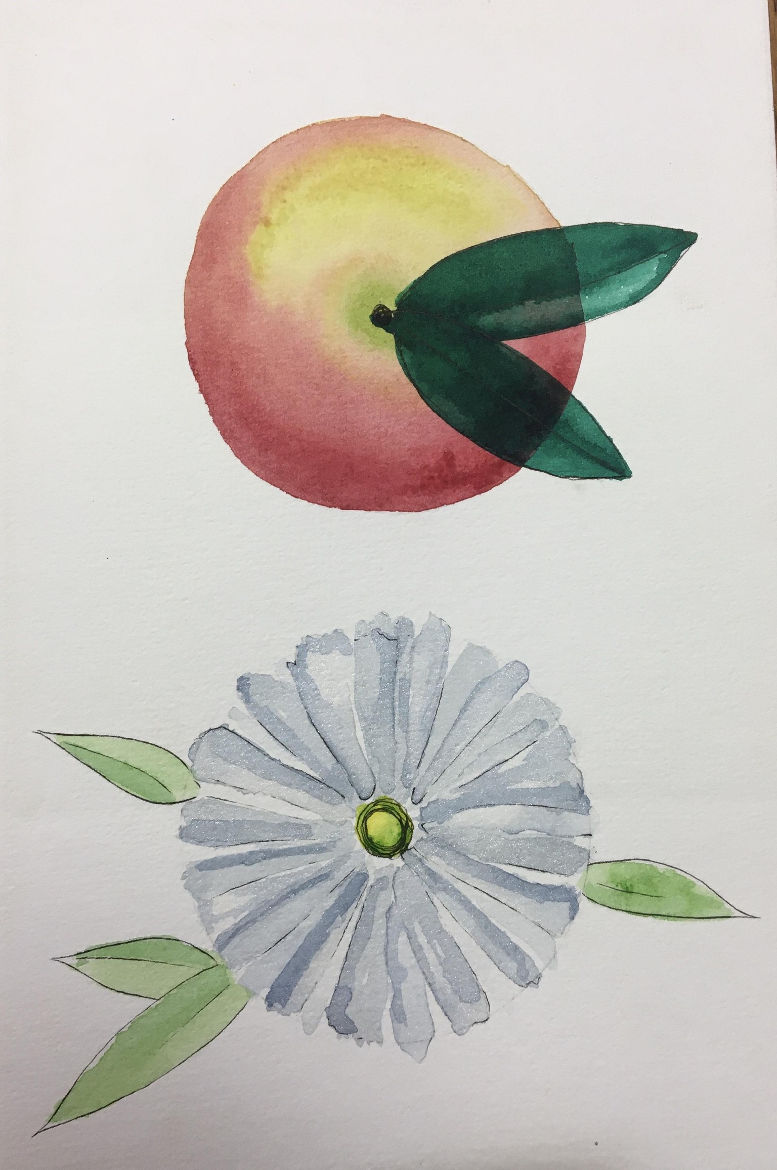 Daisy & Apple - image 1 - student project