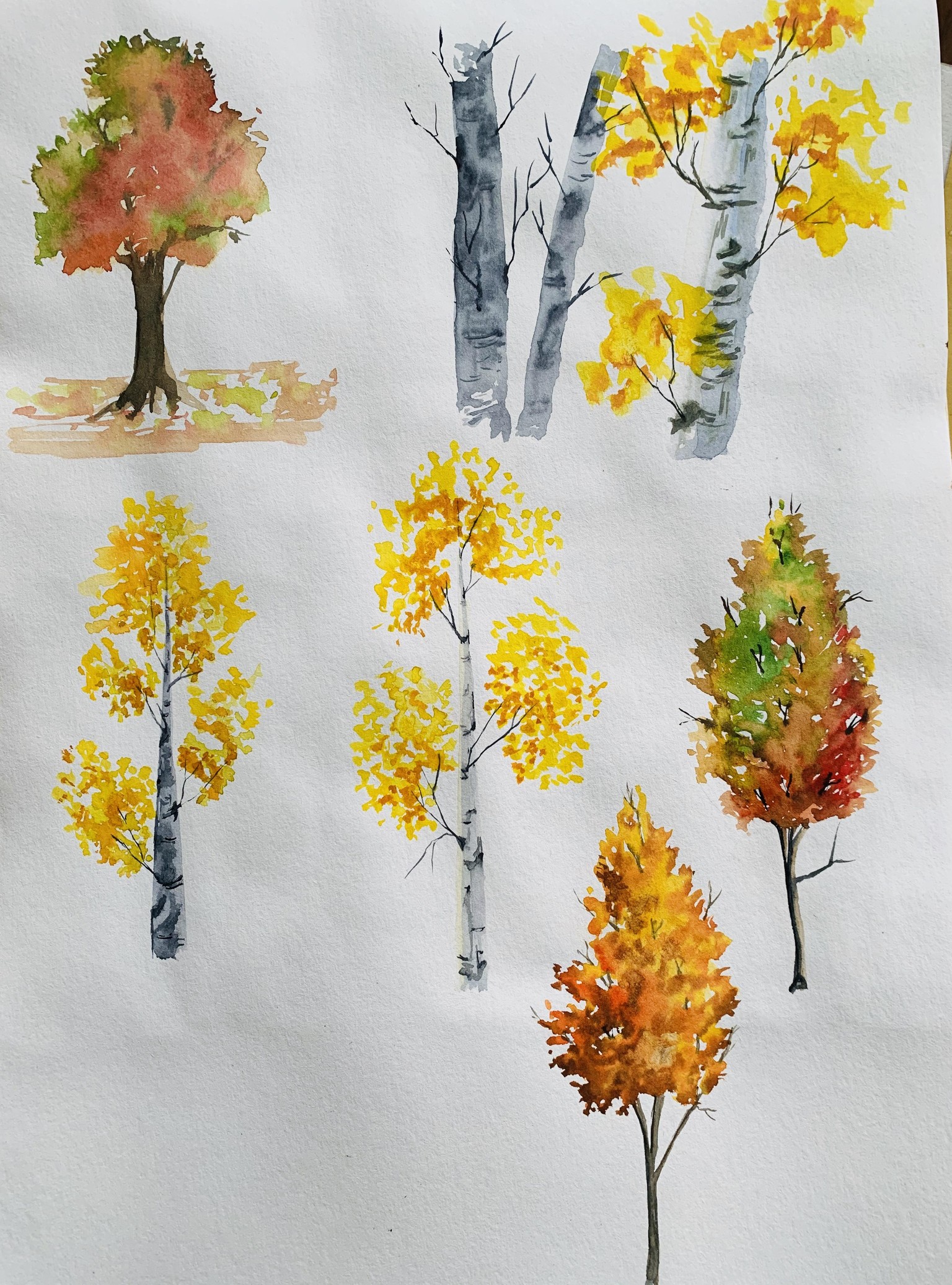 My autumn trees - image 2 - student project