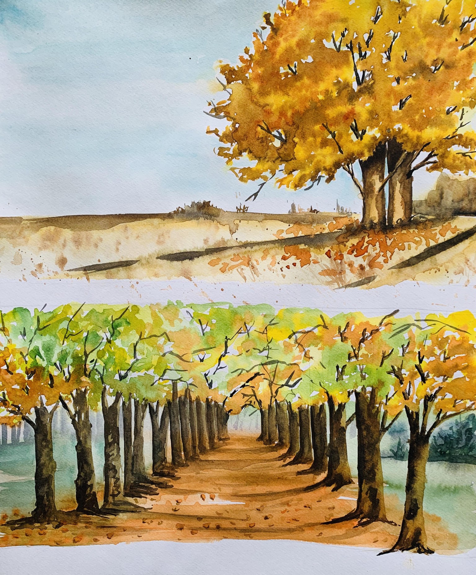 My autumn trees - image 4 - student project