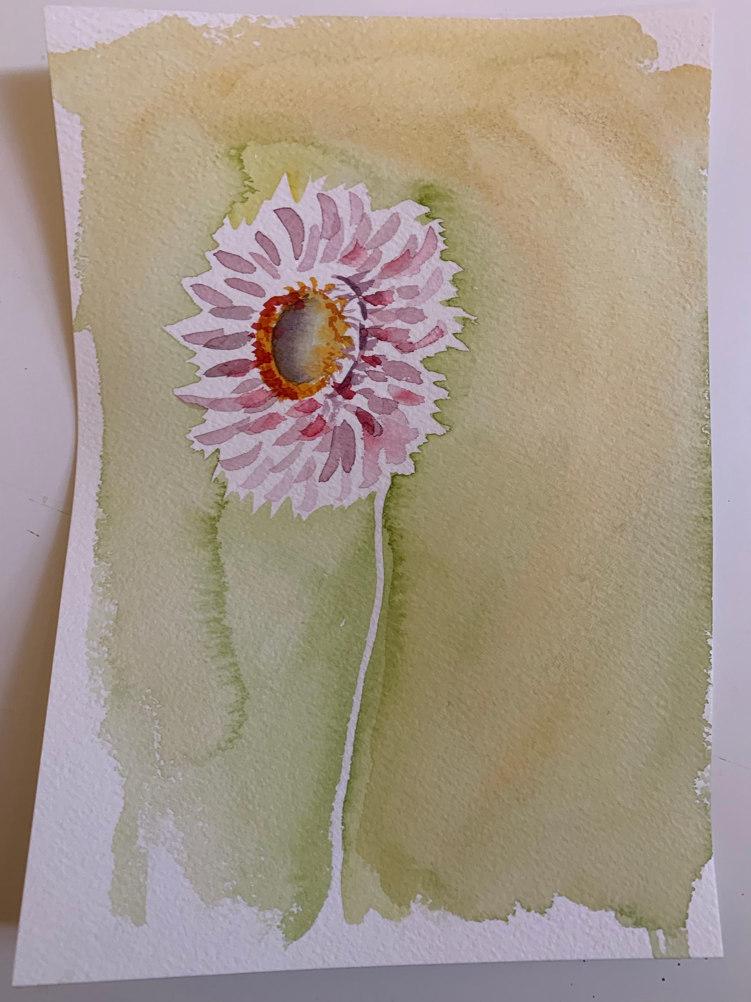 lessons in layering with watercolour - image 1 - student project