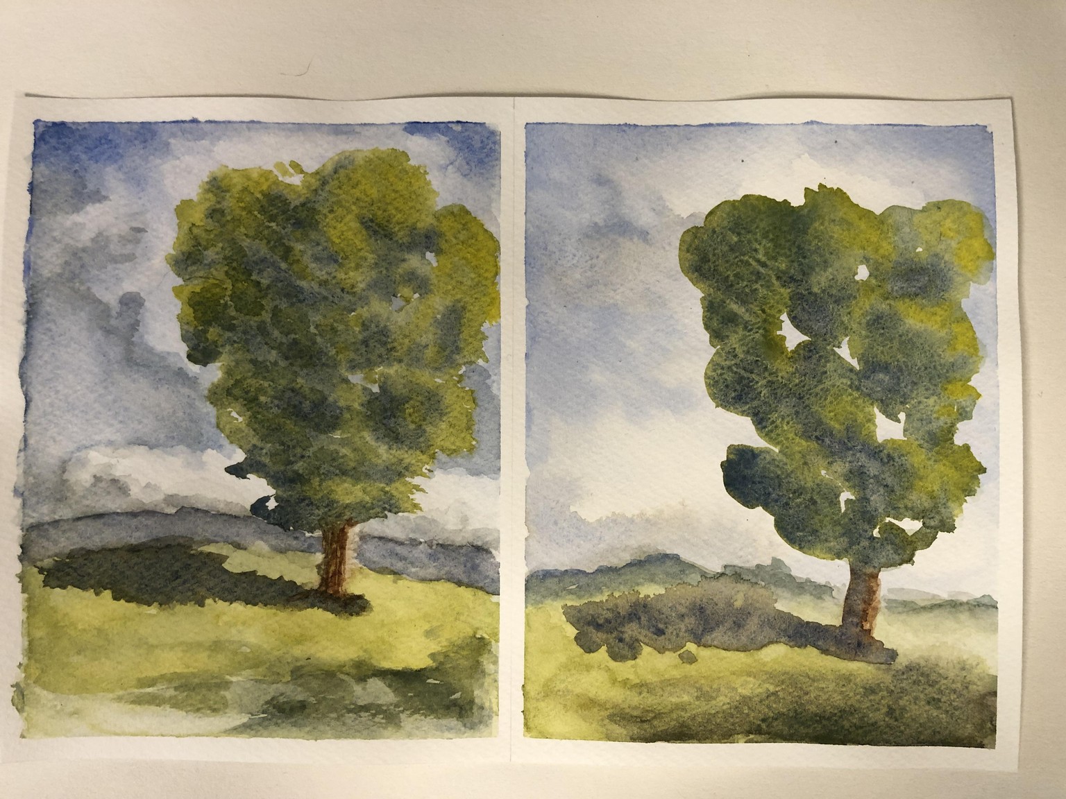 loose trees - image 1 - student project