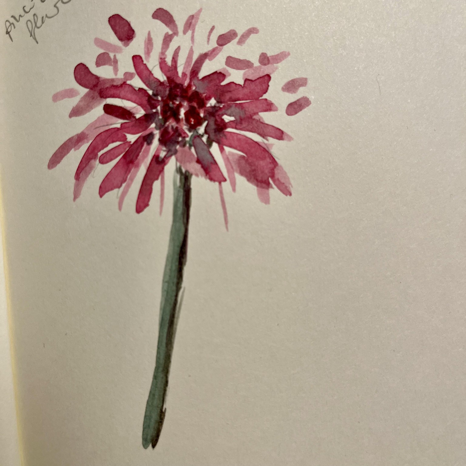 Sonya's day 8 - image 1 - student project