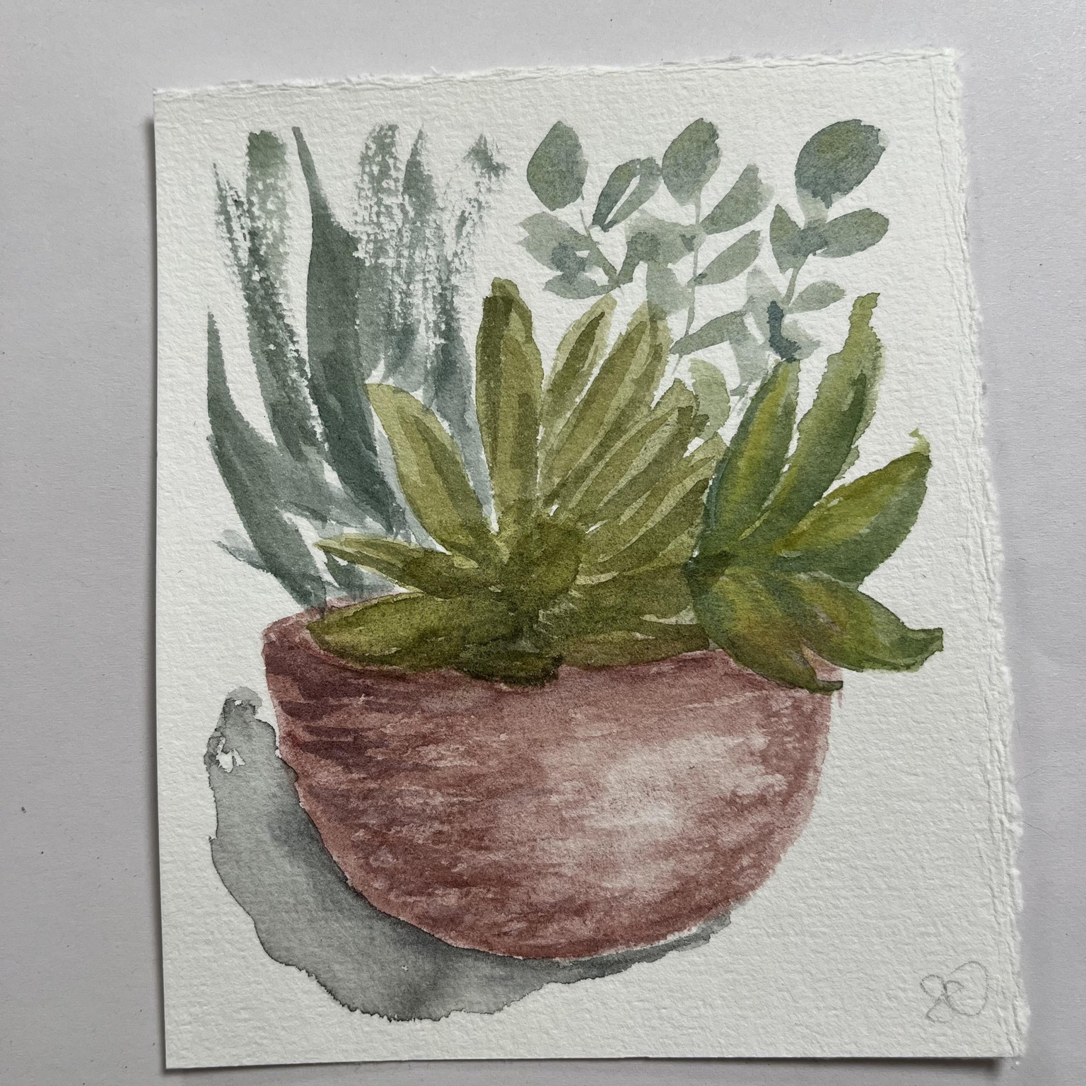 Sonya's day 2 - image 1 - student project