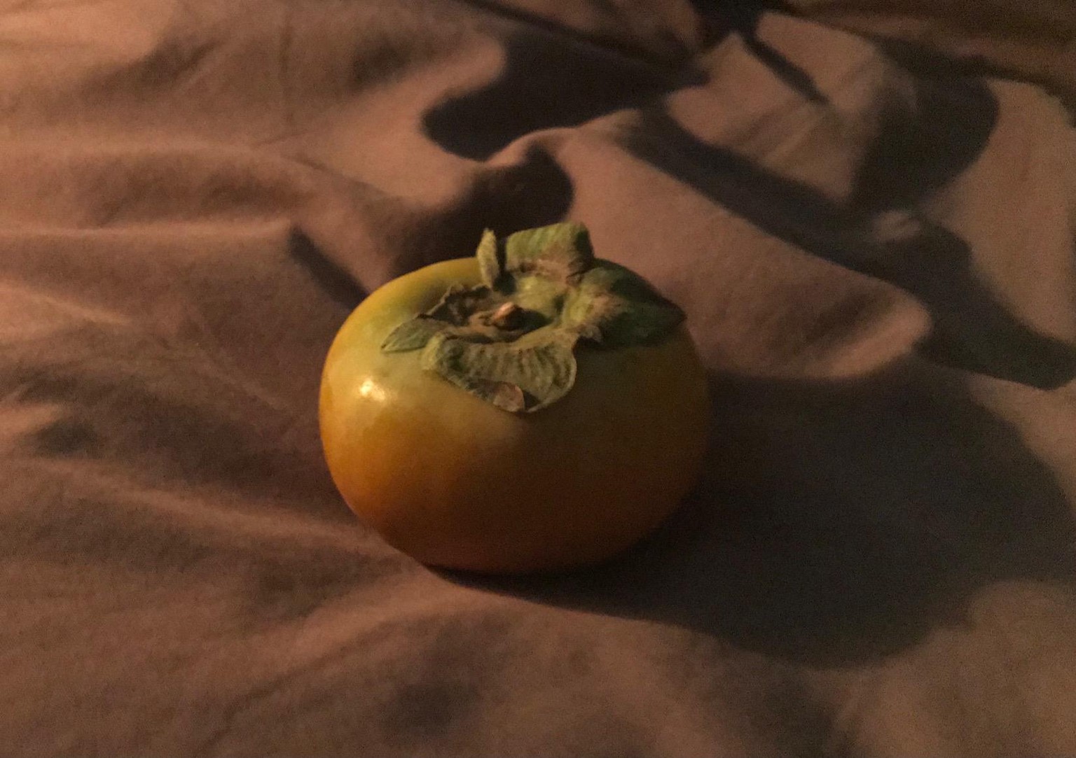 persimmon - image 1 - student project