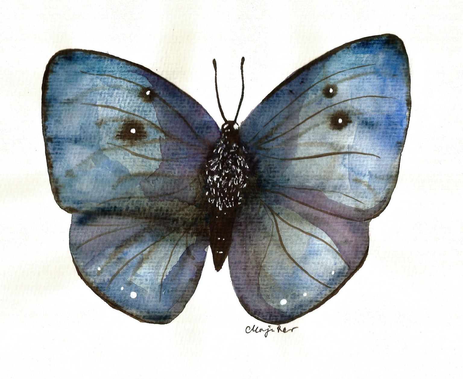 My butterflies :) - image 1 - student project