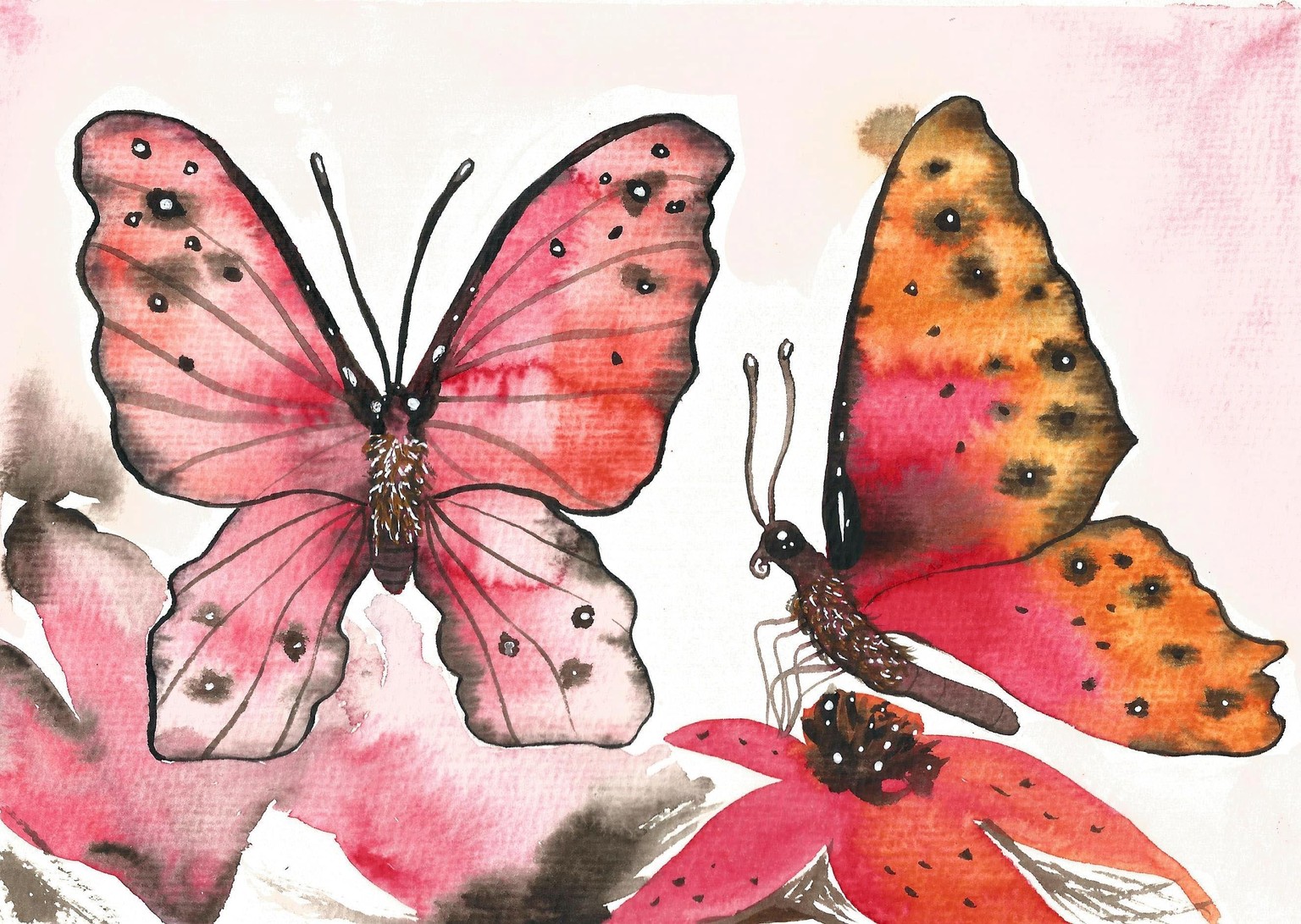My butterflies :) - image 2 - student project
