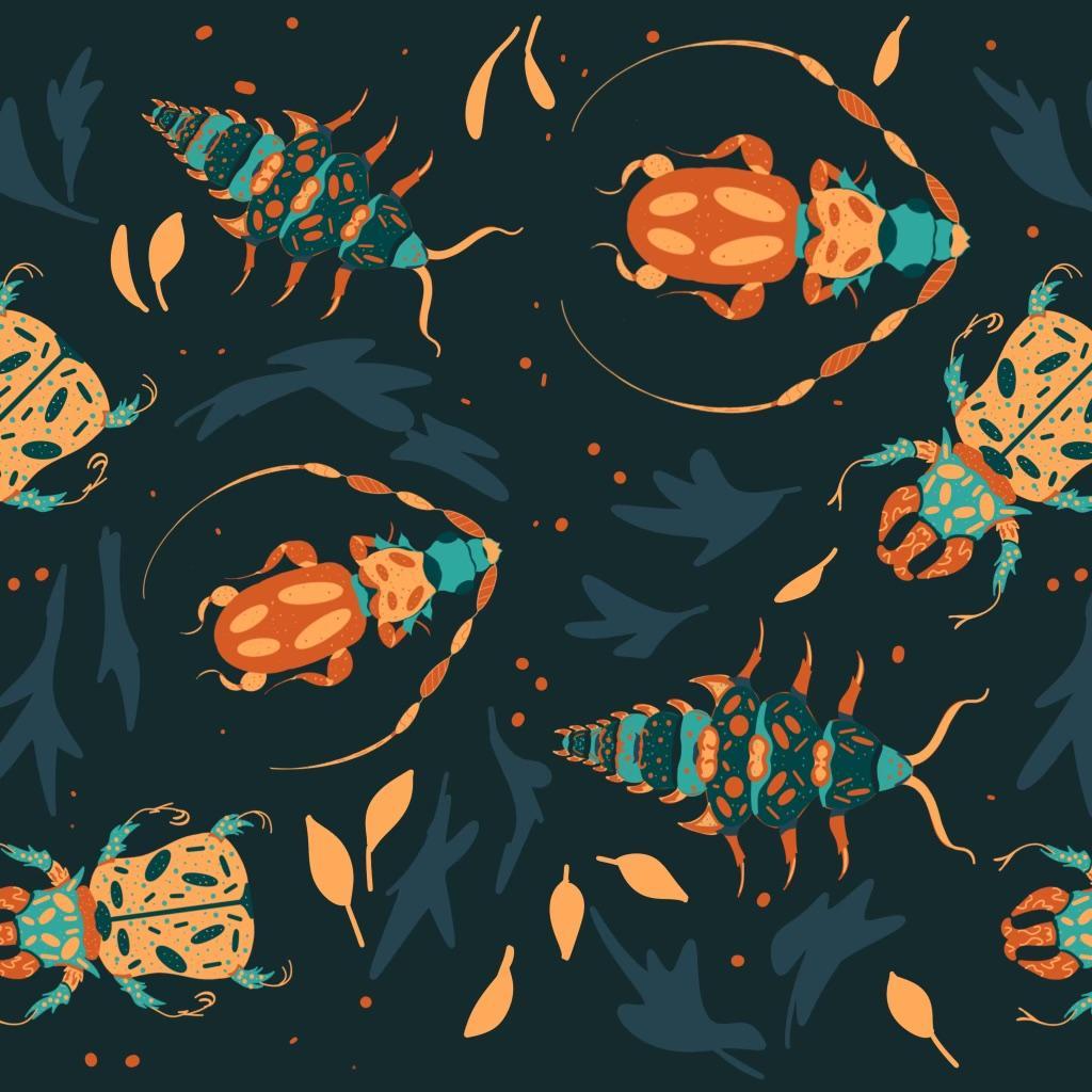 Beetles - image 1 - student project