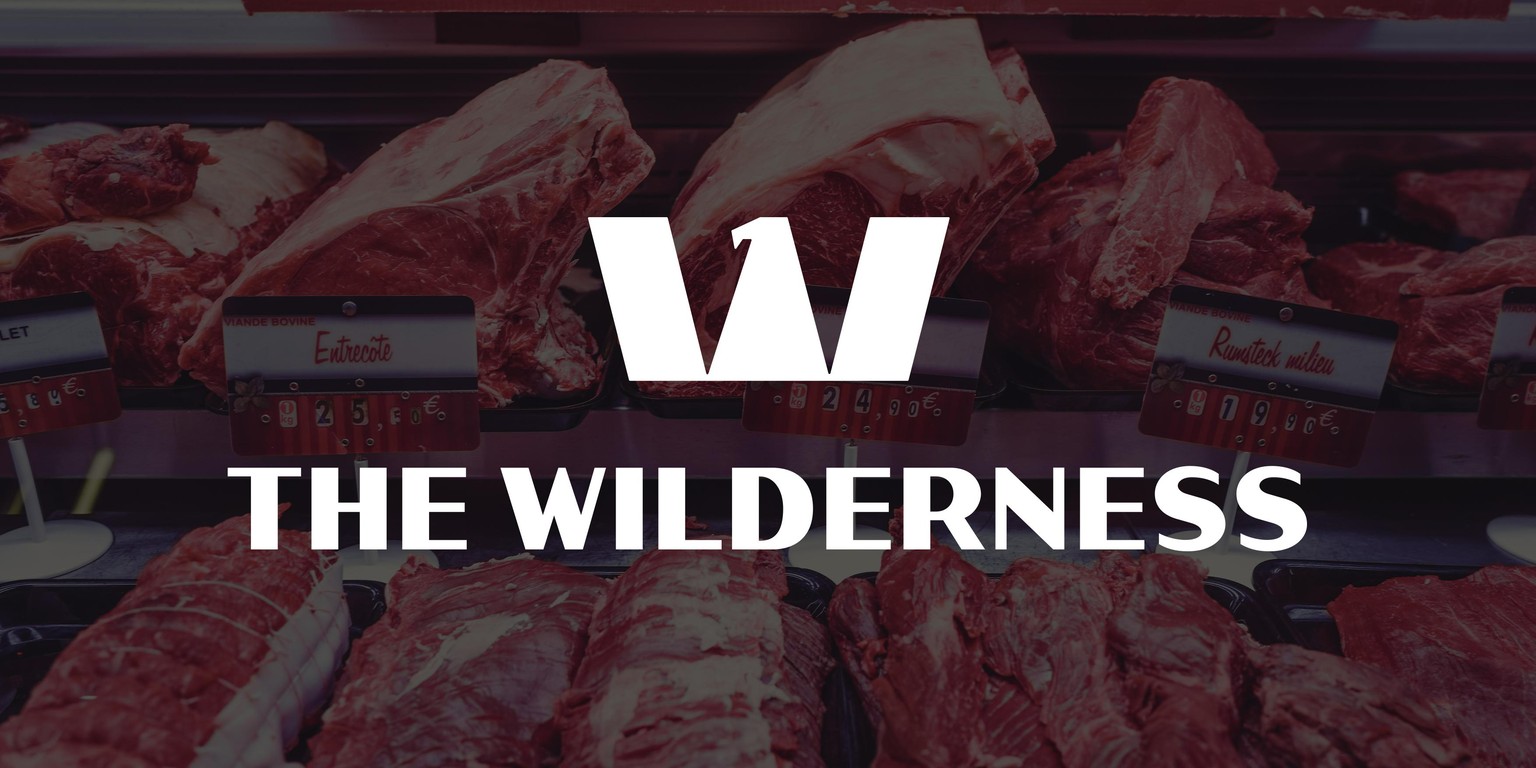 The Wilderness - image 14 - student project