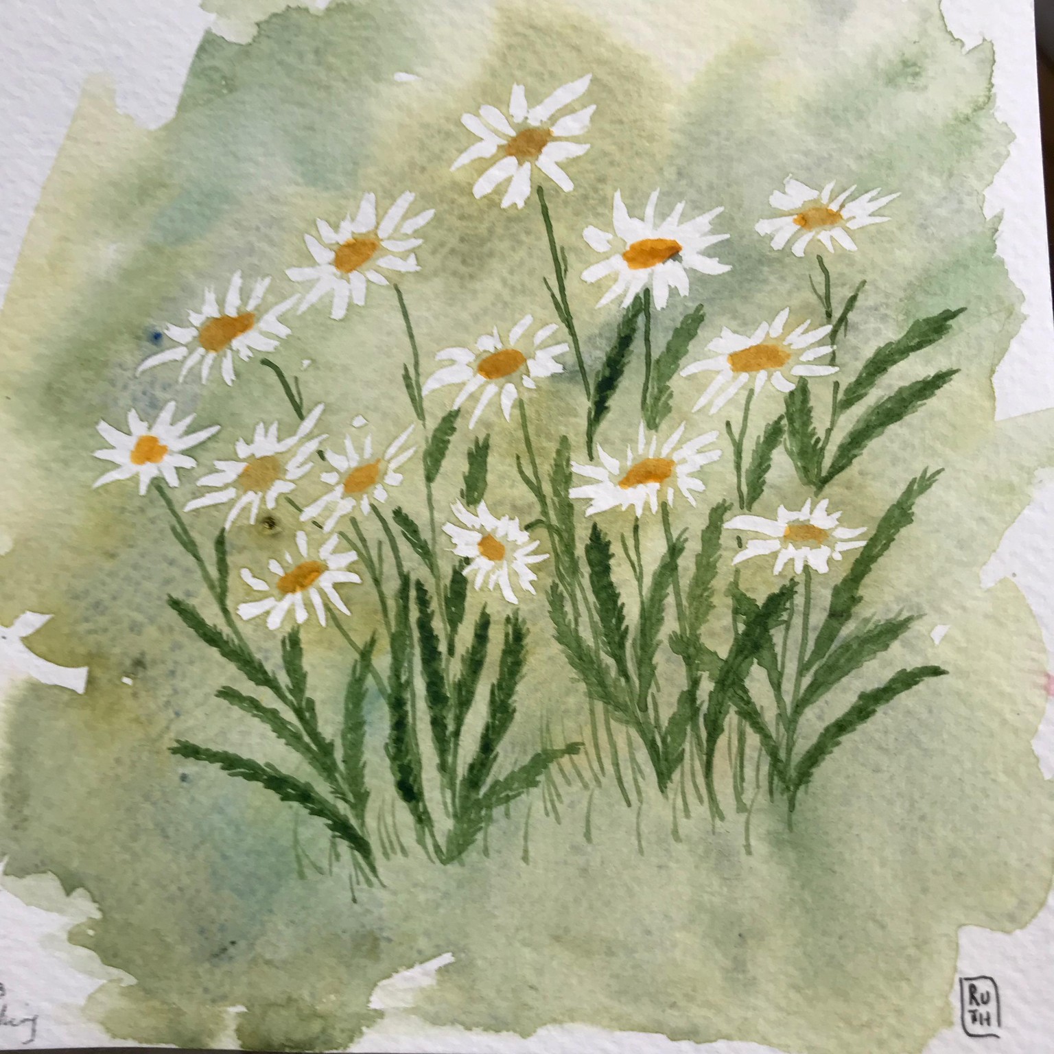 A few wildflowers - image 2 - student project