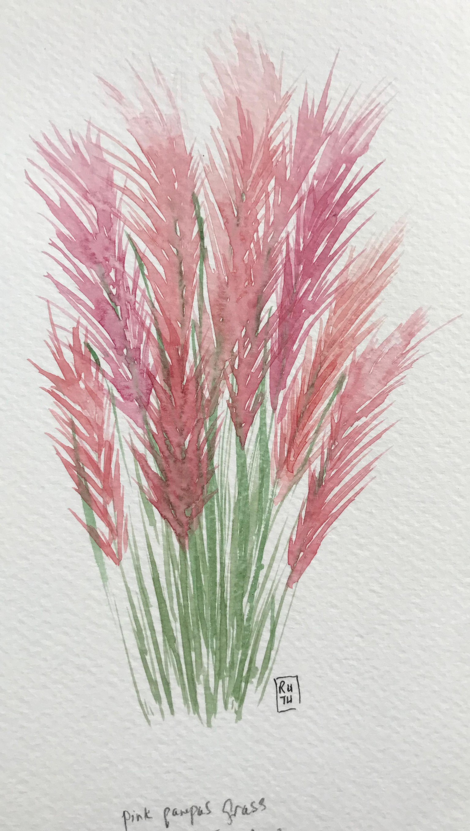 A few wildflowers - image 3 - student project