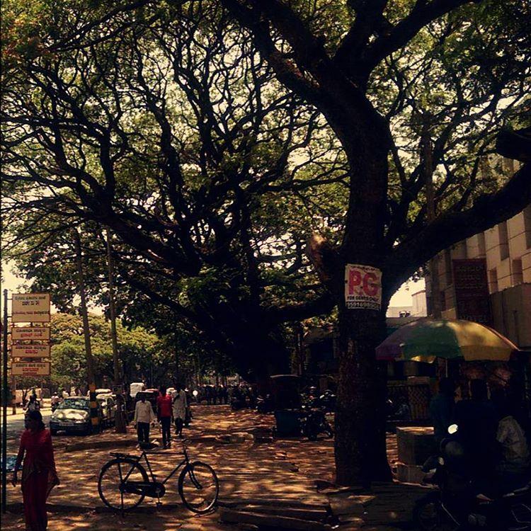 All Pictures Shot with my HTC One M8 (4 MegaPixel /