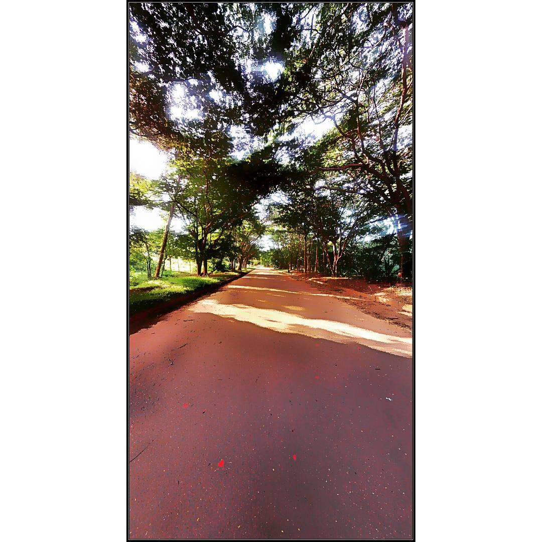 All Pictures Shot with my HTC One M8 (4 MegaPixel /