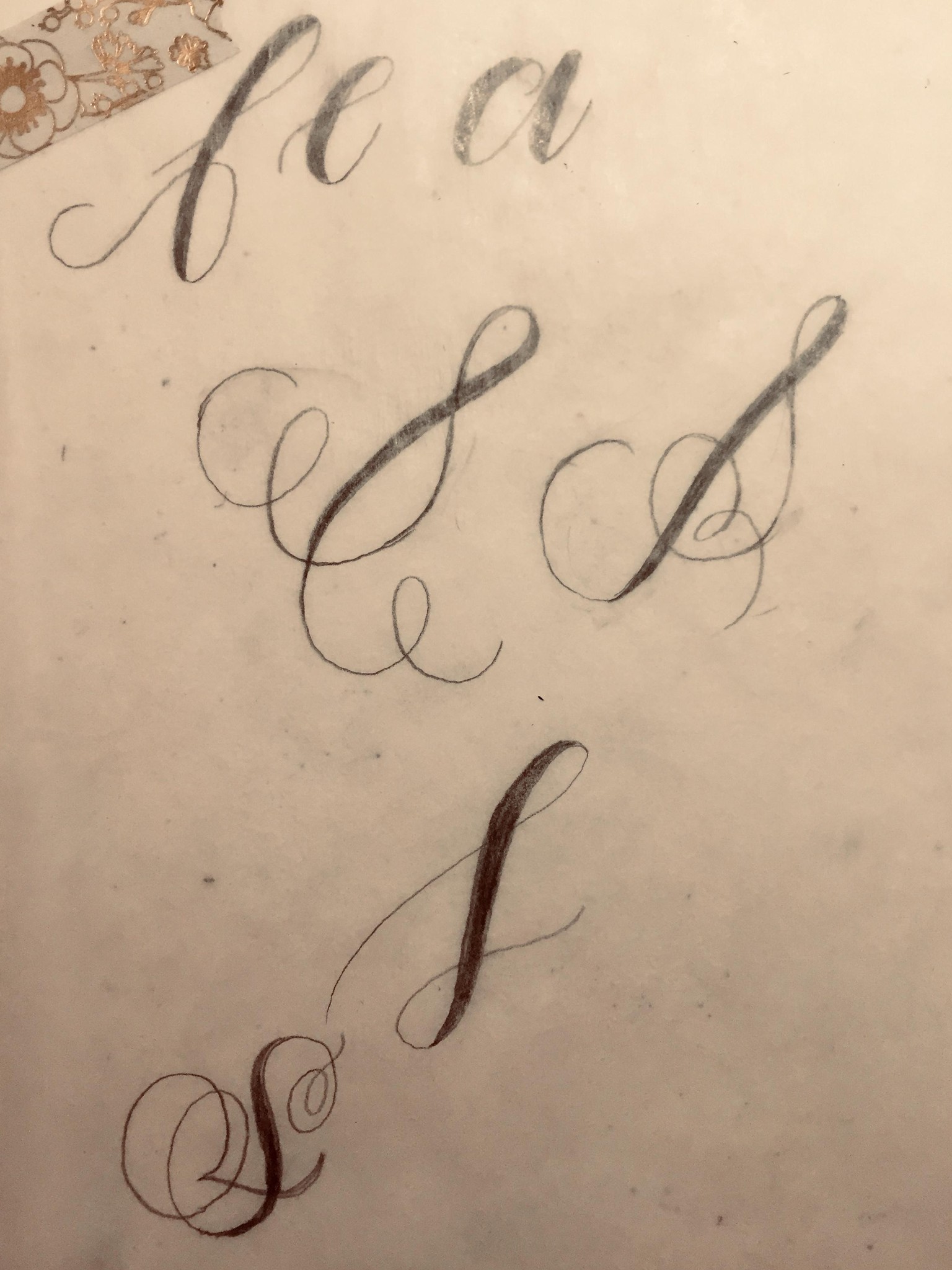 This is a beautiful start to a lifelong love letter - image 6 - student project