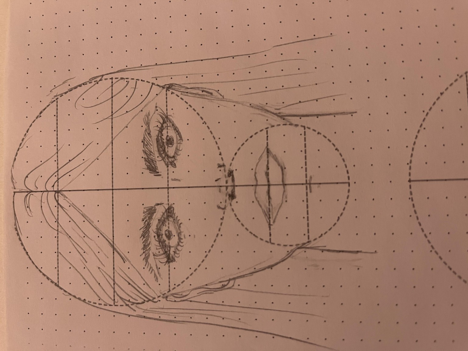 Face - image 1 - student project