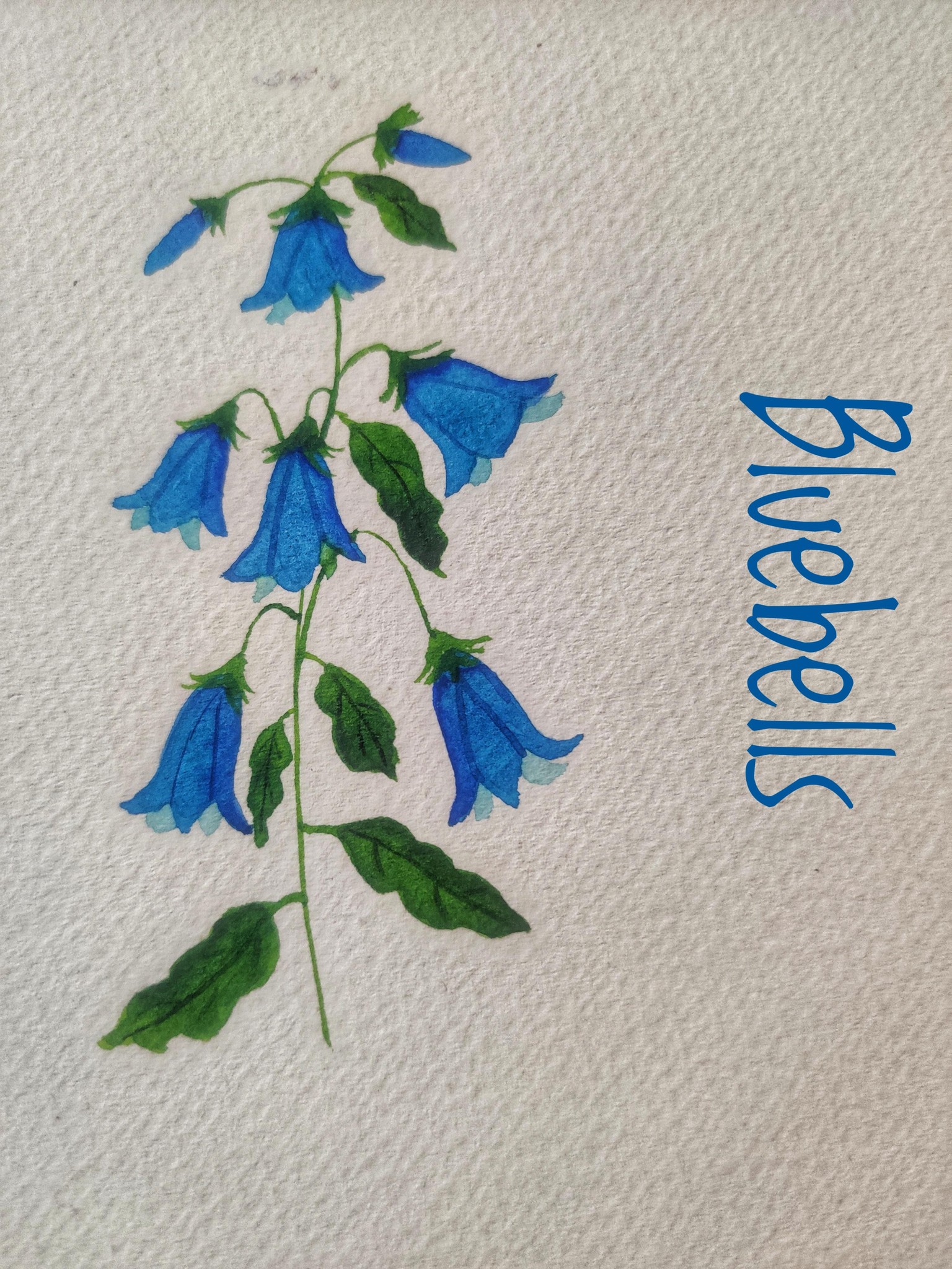 Loose Watercolor Spring Flowers with Vinita - image 1 - student project