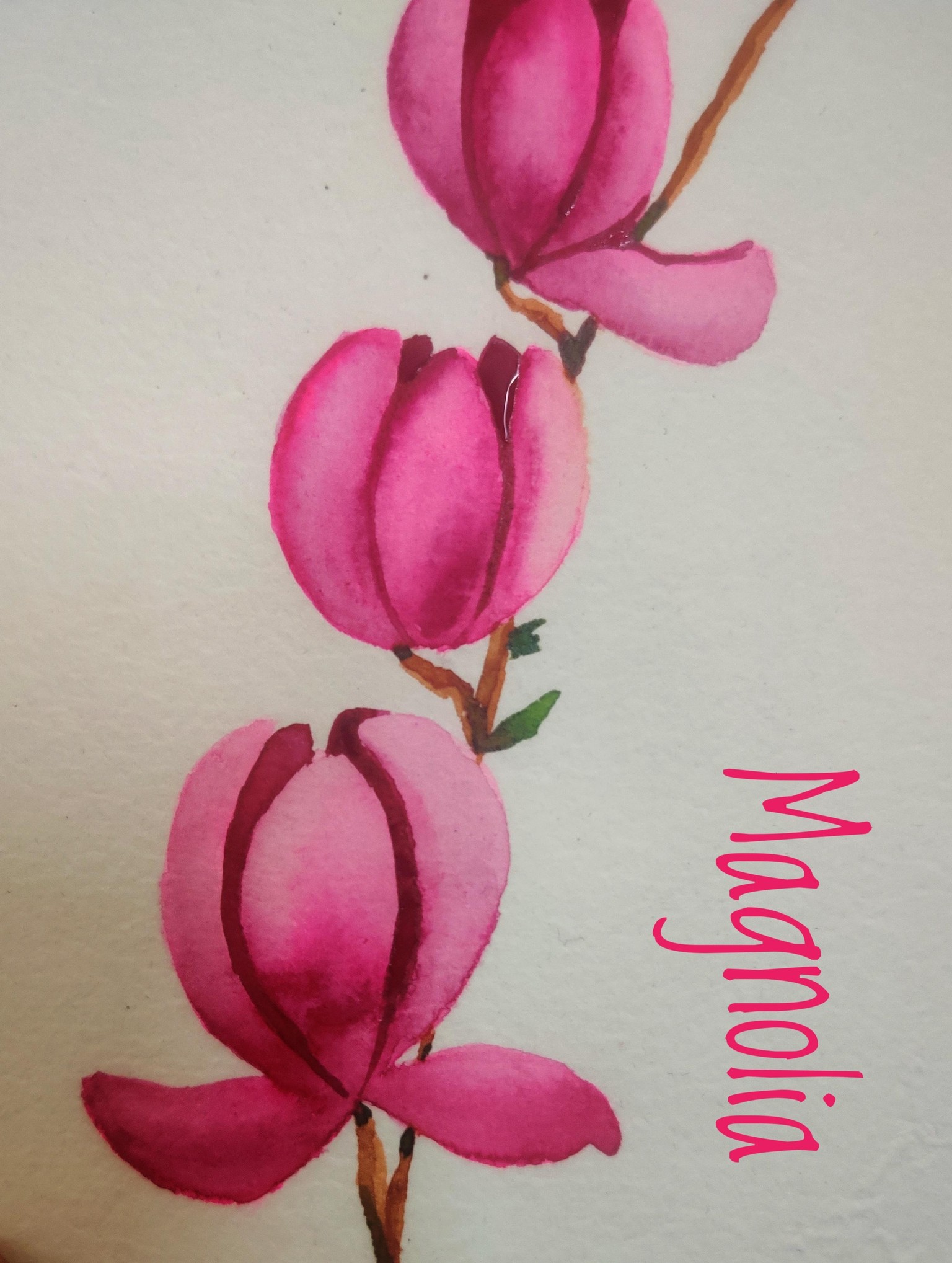 Loose Watercolor Spring Flowers with Vinita - image 9 - student project
