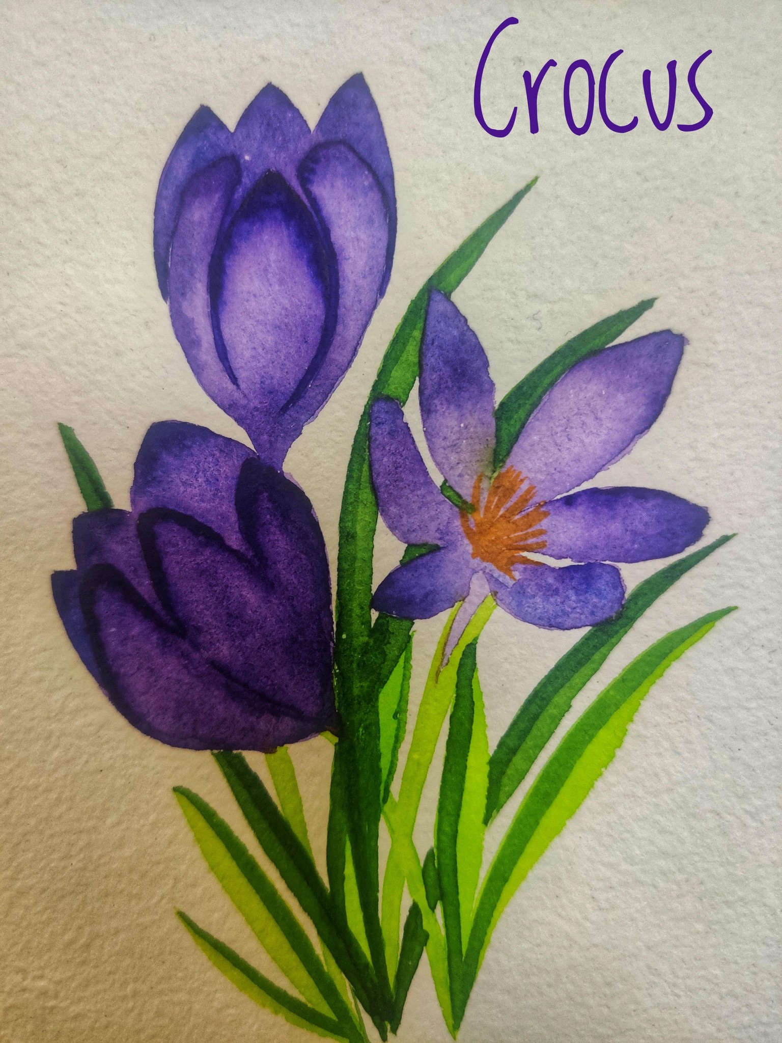 Loose Watercolor Spring Flowers with Vinita - image 8 - student project