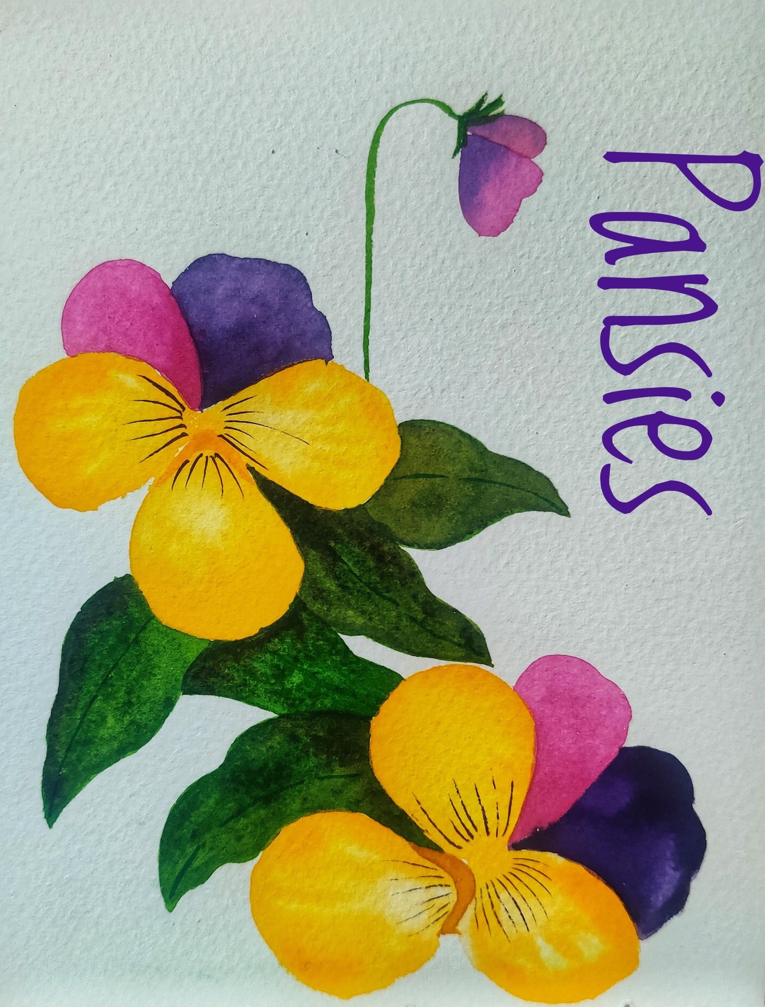 Loose Watercolor Spring Flowers with Vinita - image 2 - student project