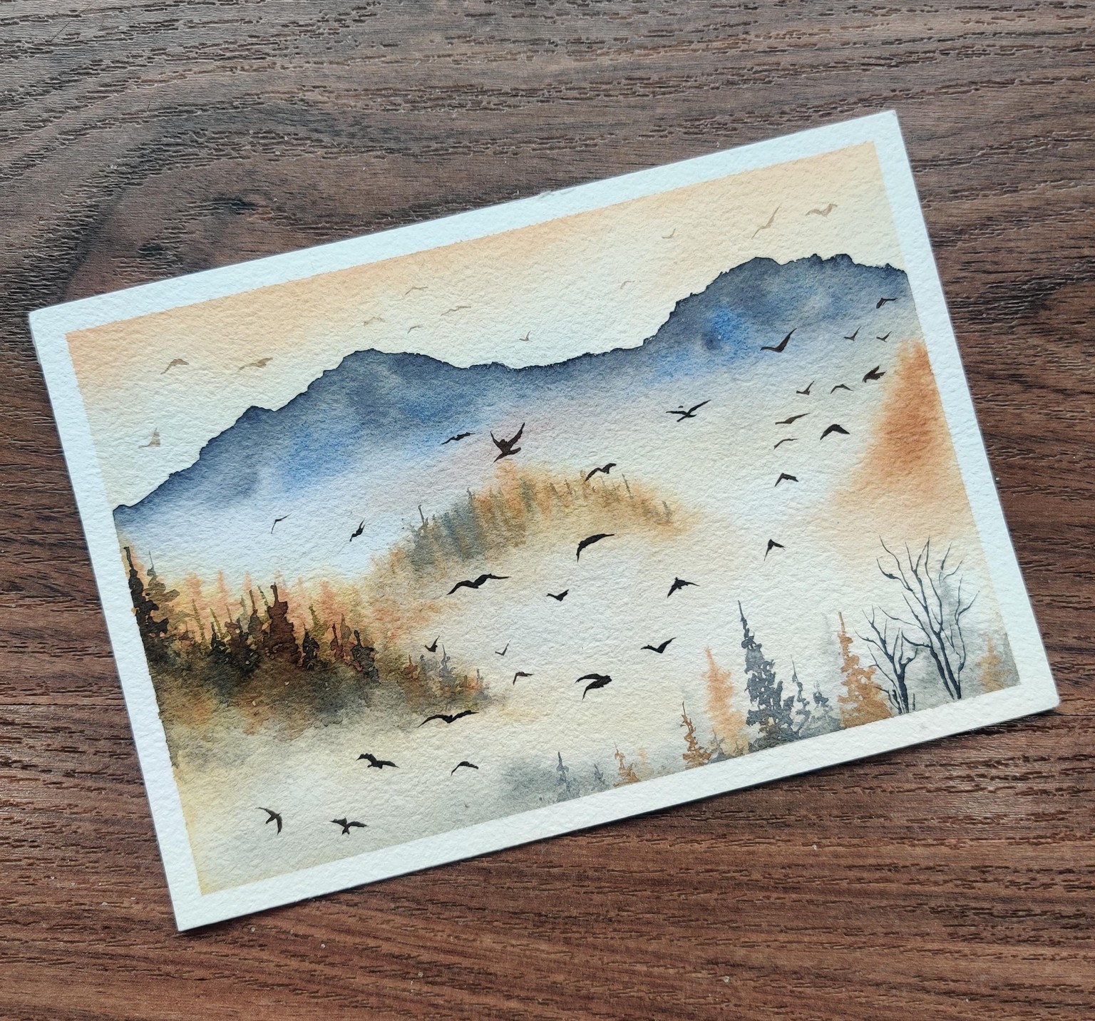Serene Misty Landscapes with Shanan - image 2 - student project