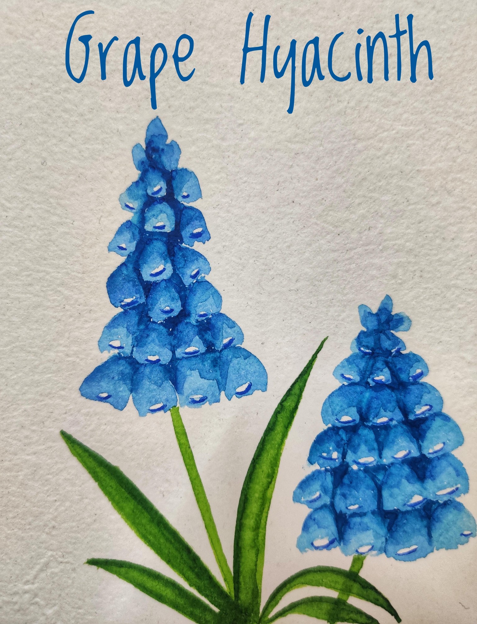 Loose Watercolor Spring Flowers with Vinita - image 10 - student project