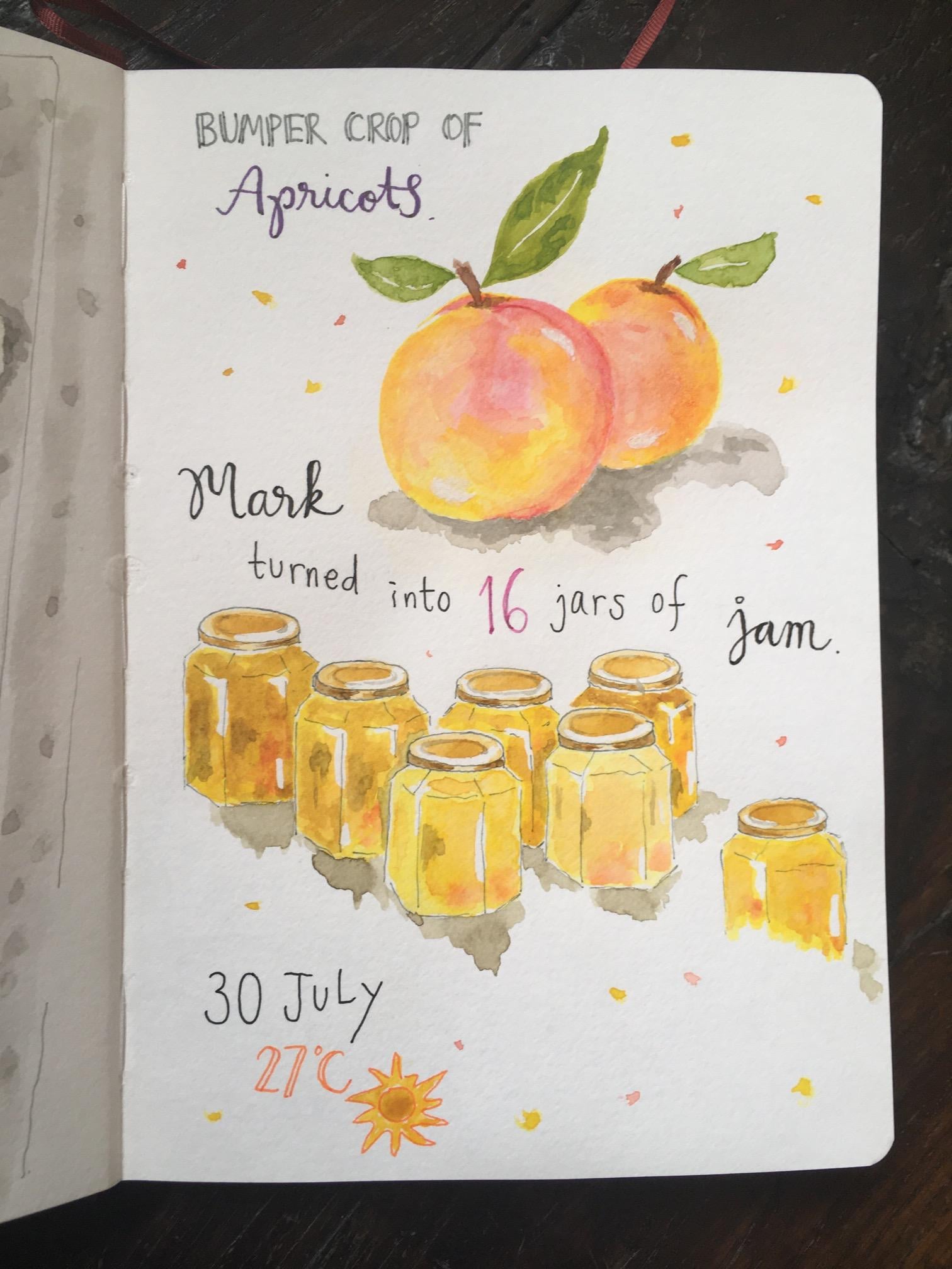 My First Water Colour Sketch Journal - image 6 - student project